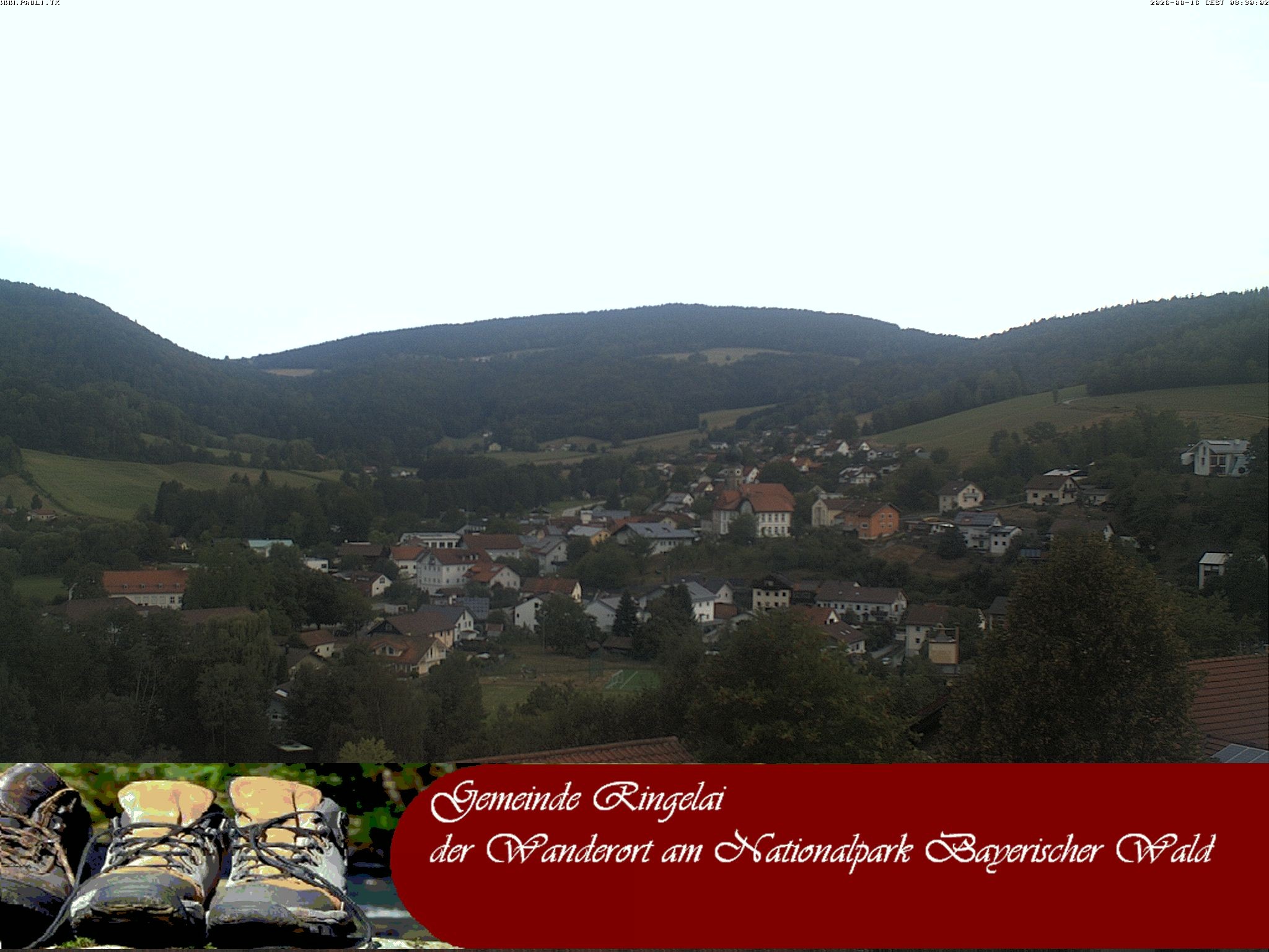 Archiv Foto Webcam Ringelai