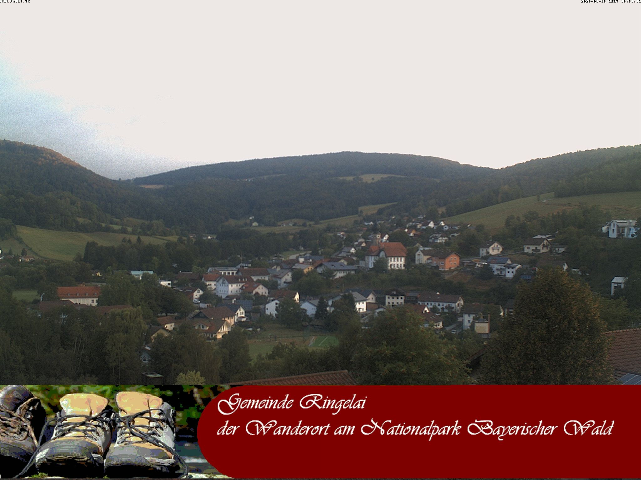 Archiv Foto Webcam Ringelai