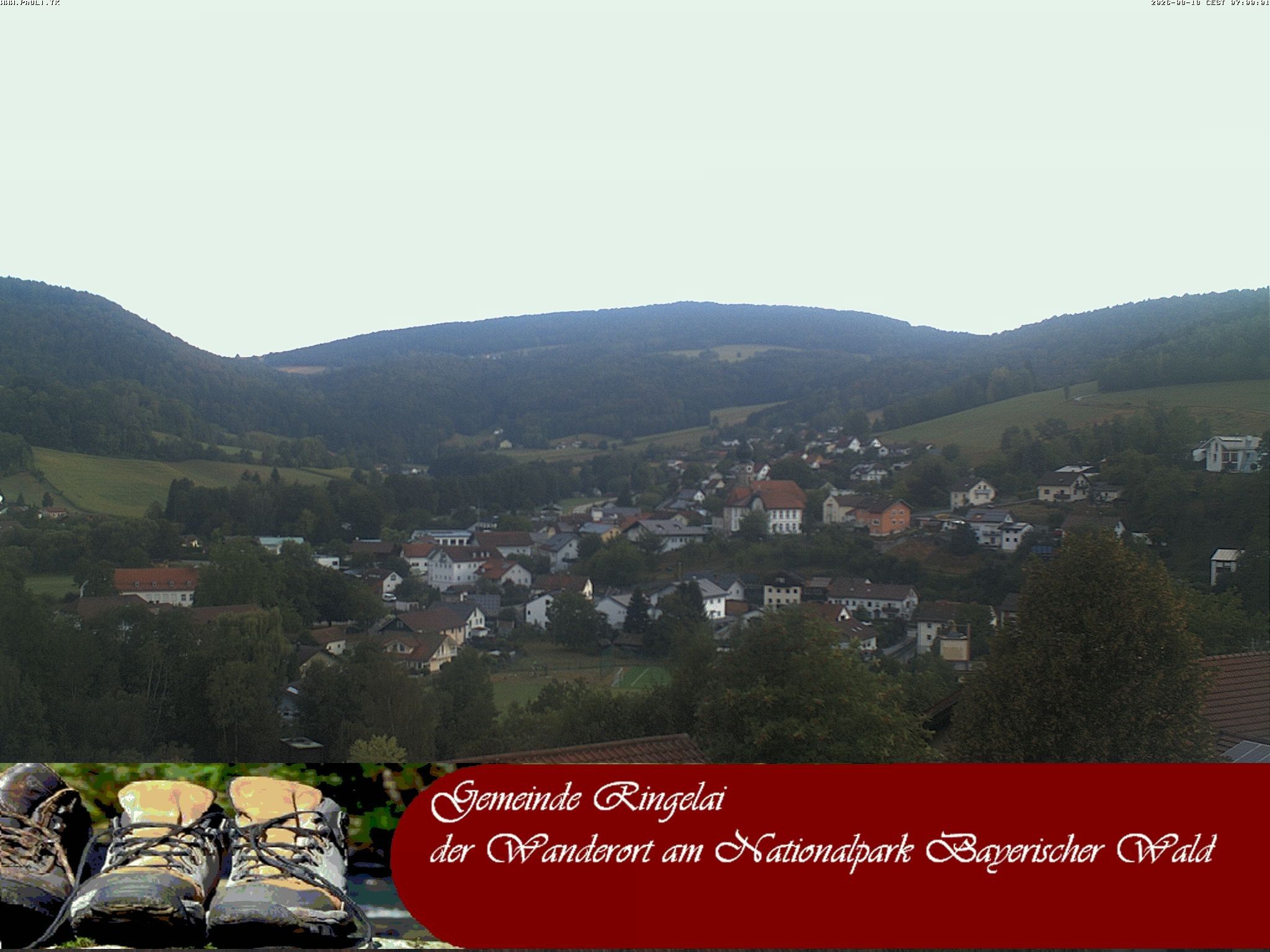 Archiv Foto Webcam Ringelai