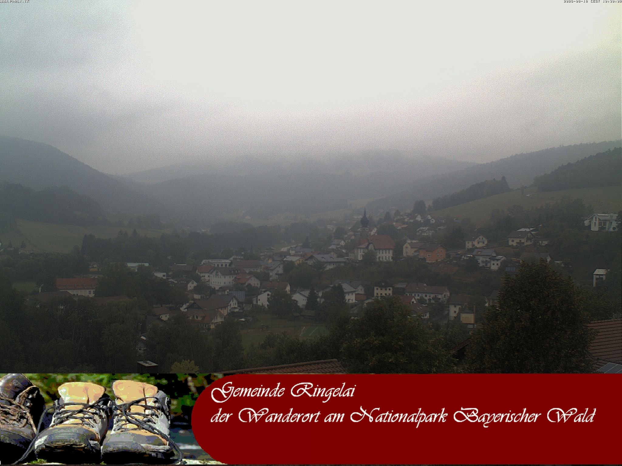 Archiv Foto Webcam Ringelai