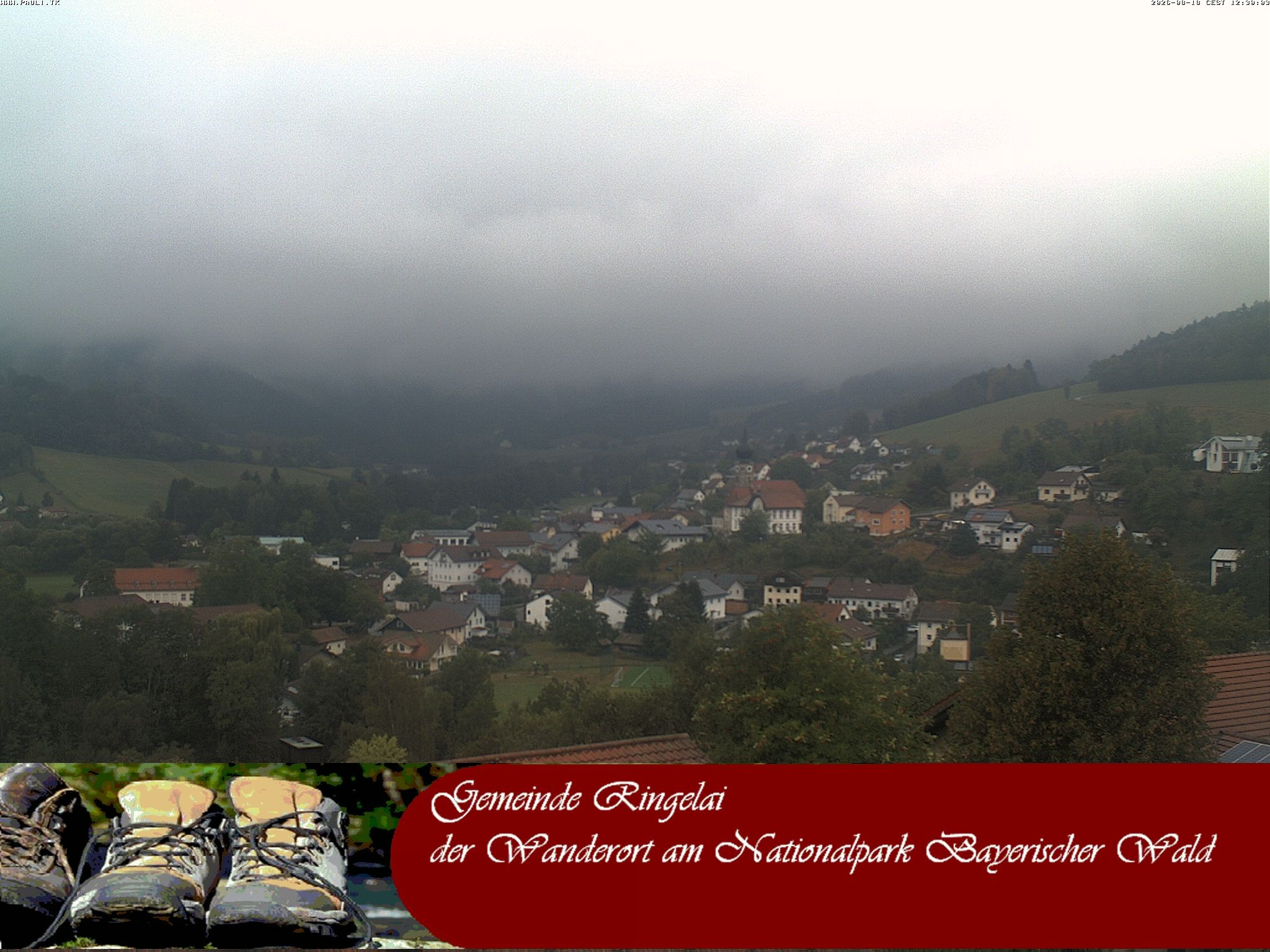 Archiv Foto Webcam Ringelai