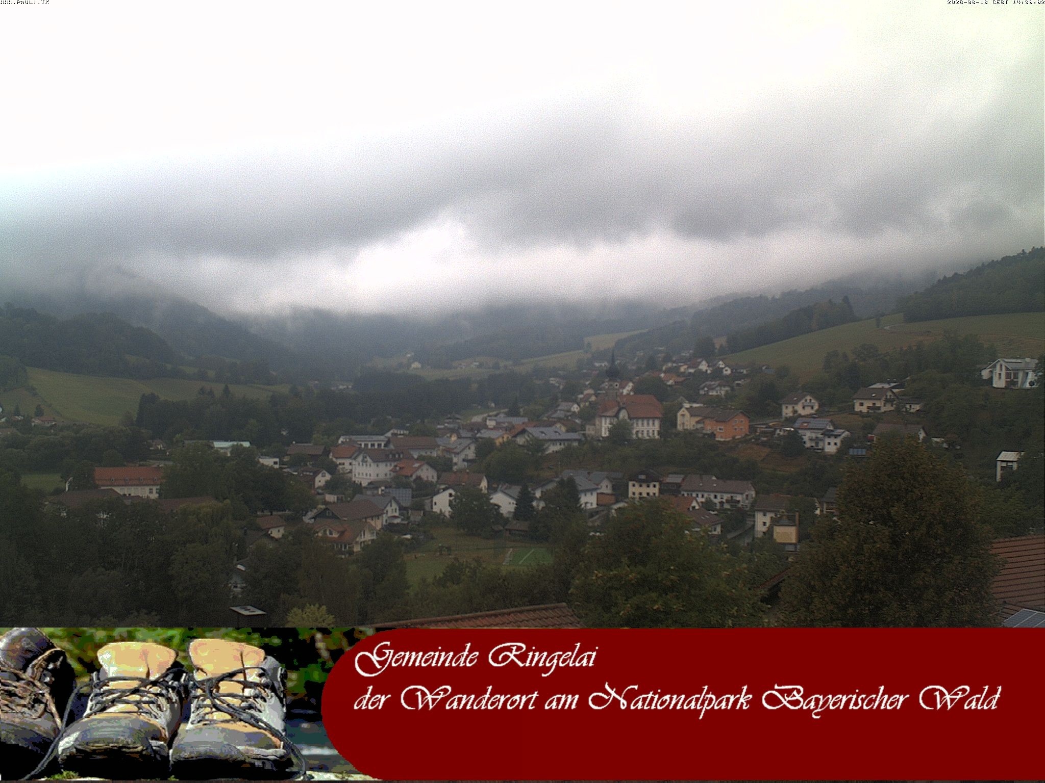 Archiv Foto Webcam Ringelai