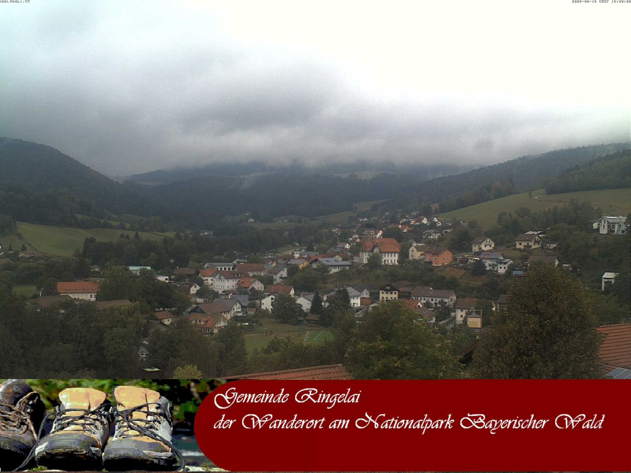 Archiv Foto Webcam Ringelai