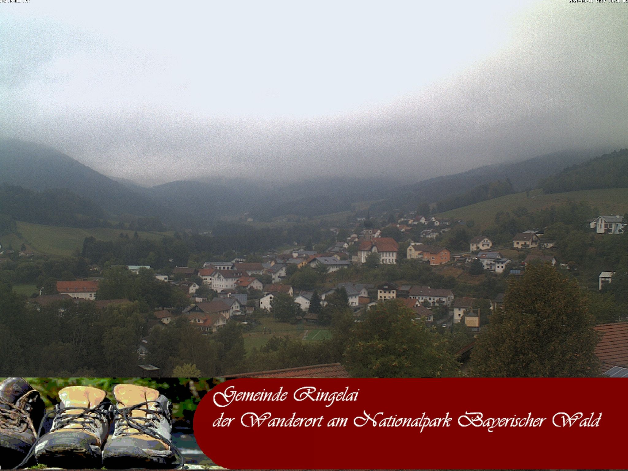 Archiv Foto Webcam Ringelai