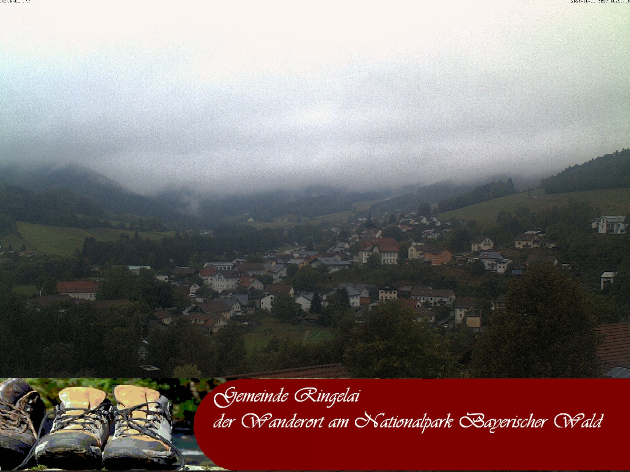 Archiv Foto Webcam Ringelai