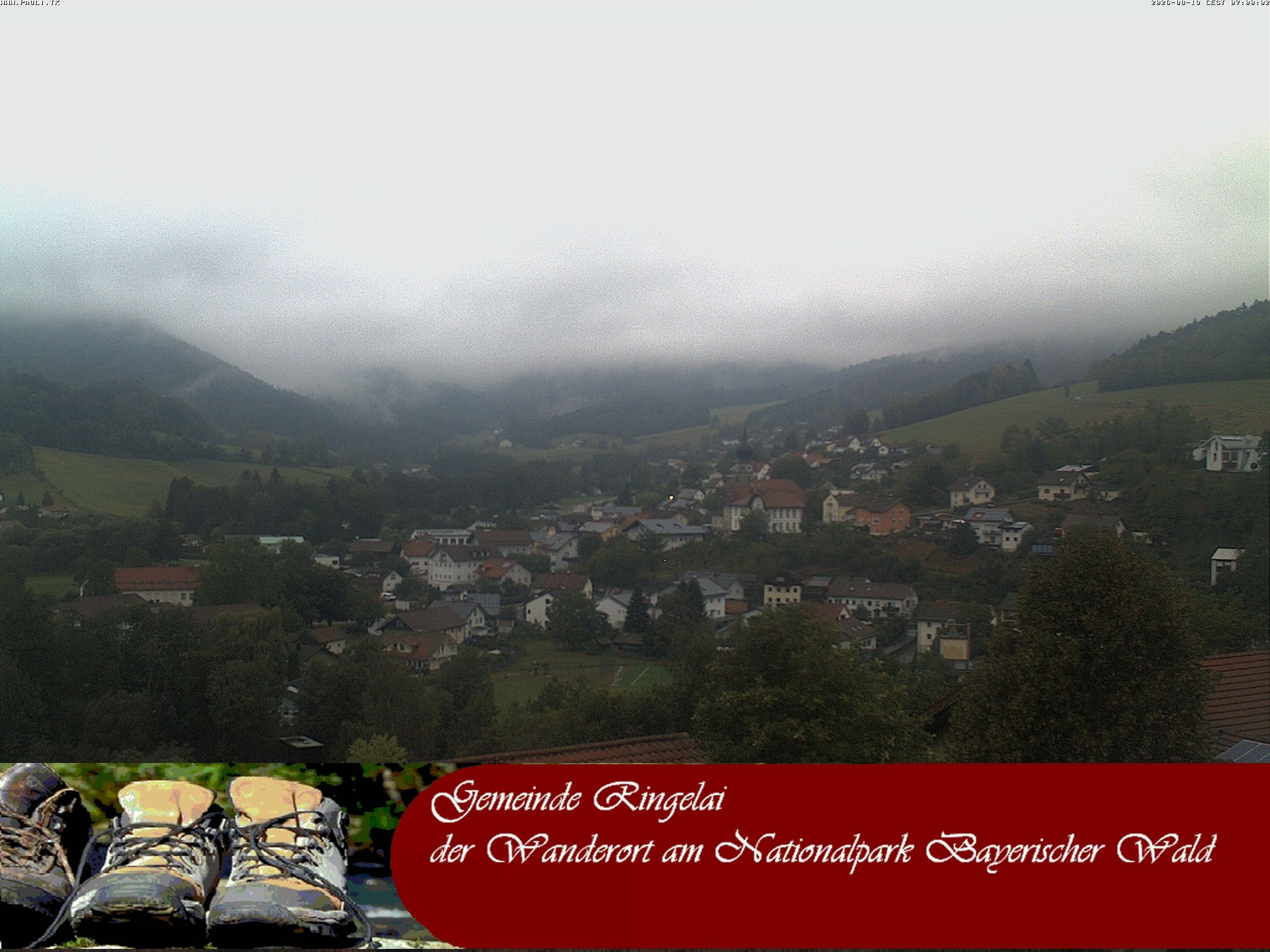 Archiv Foto Webcam Ringelai