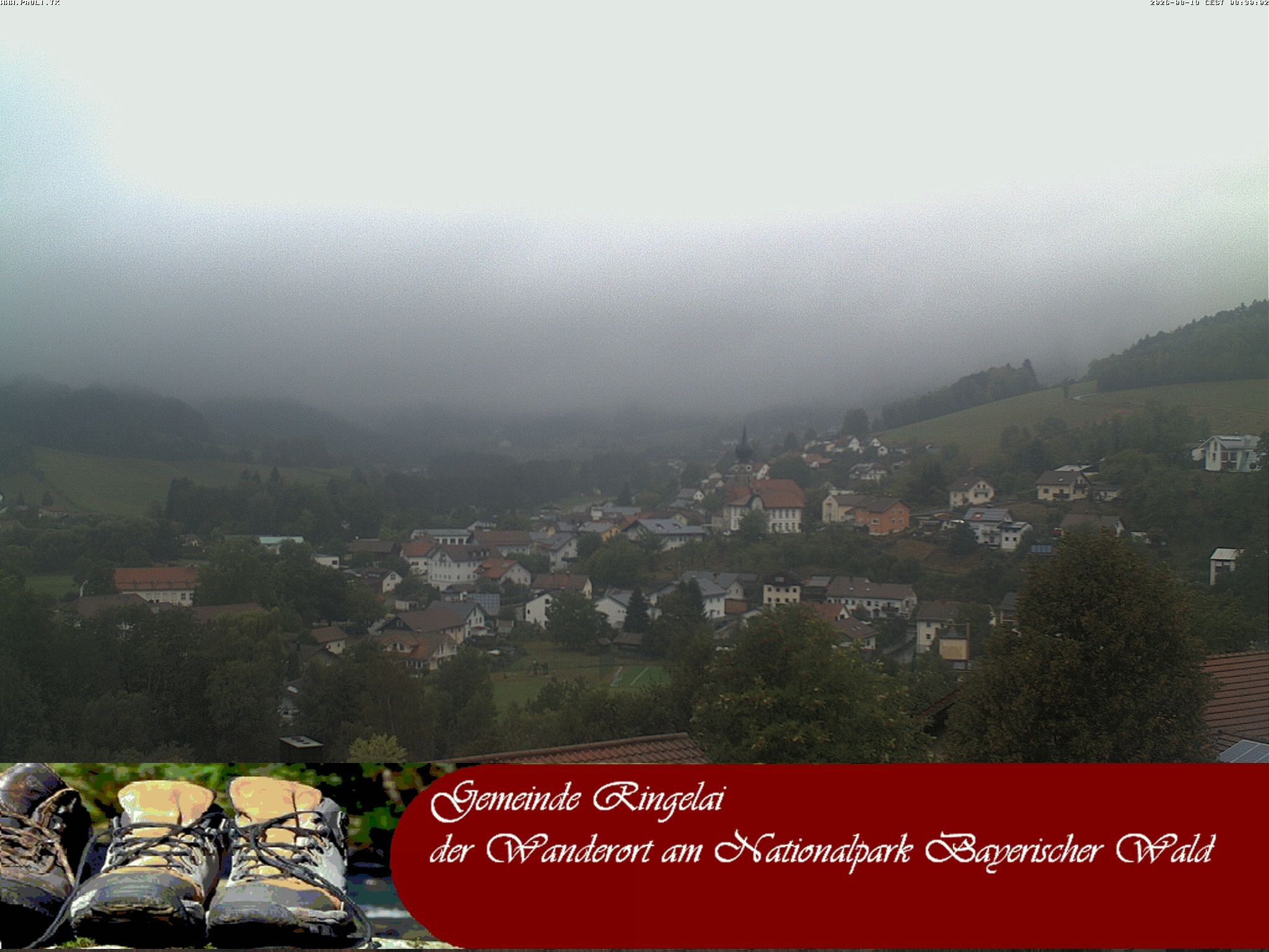 Archiv Foto Webcam Ringelai