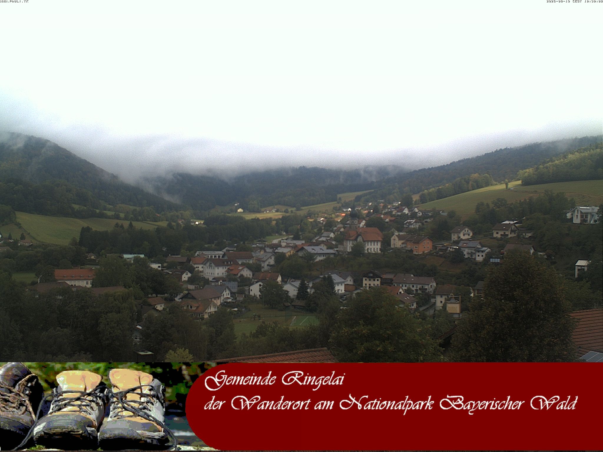 Archiv Foto Webcam Ringelai