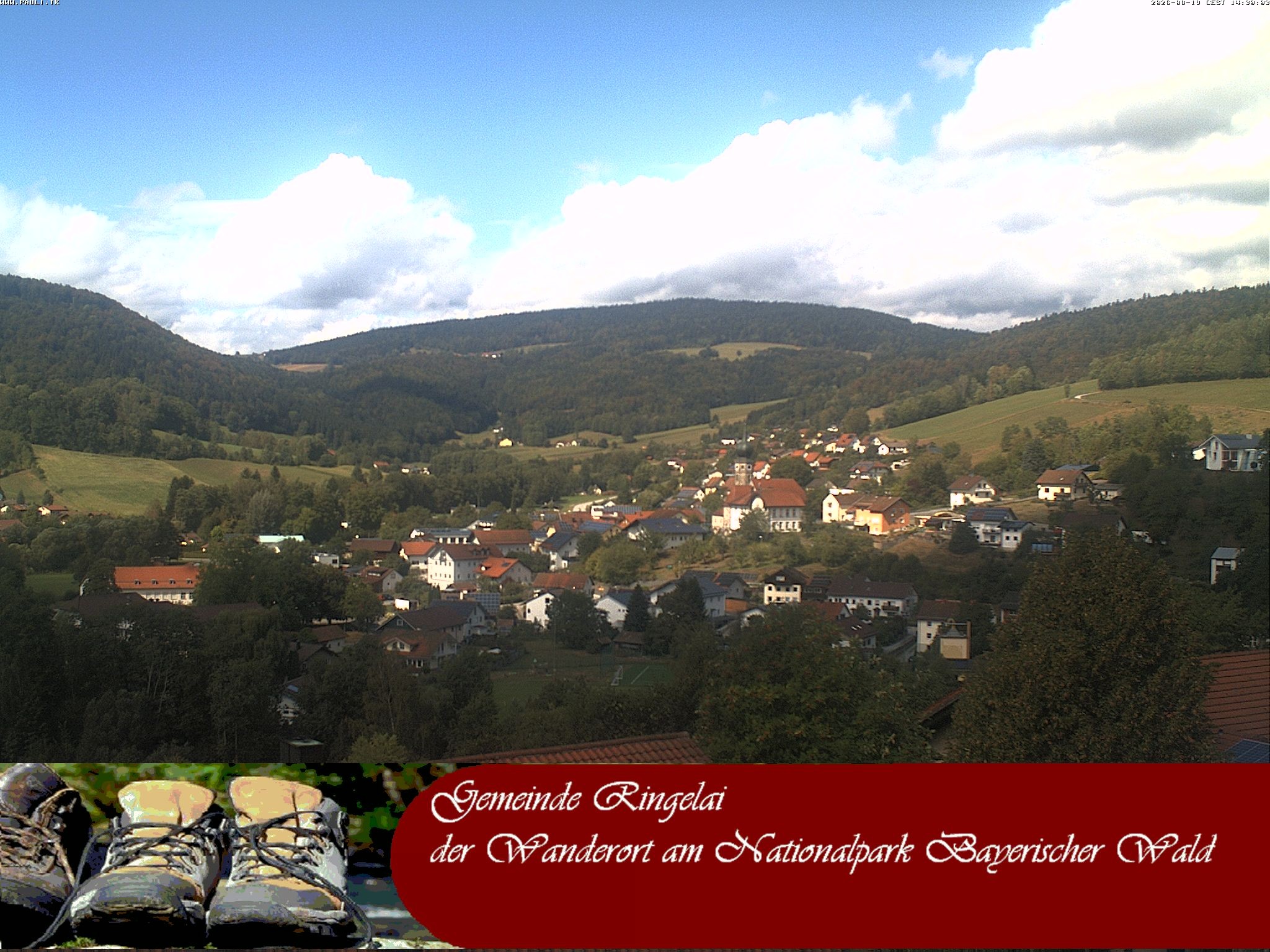 Archiv Foto Webcam Ringelai