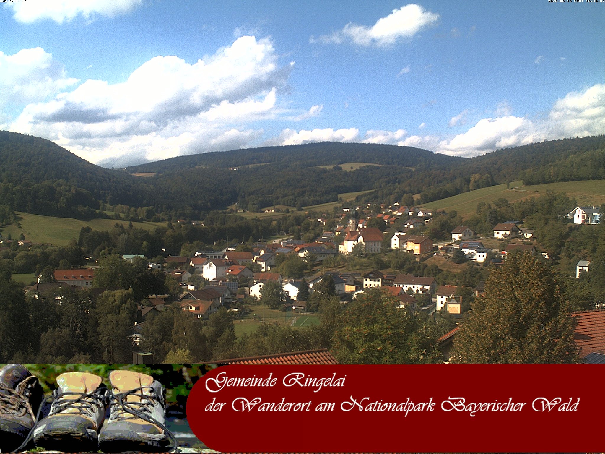 Archiv Foto Webcam Ringelai