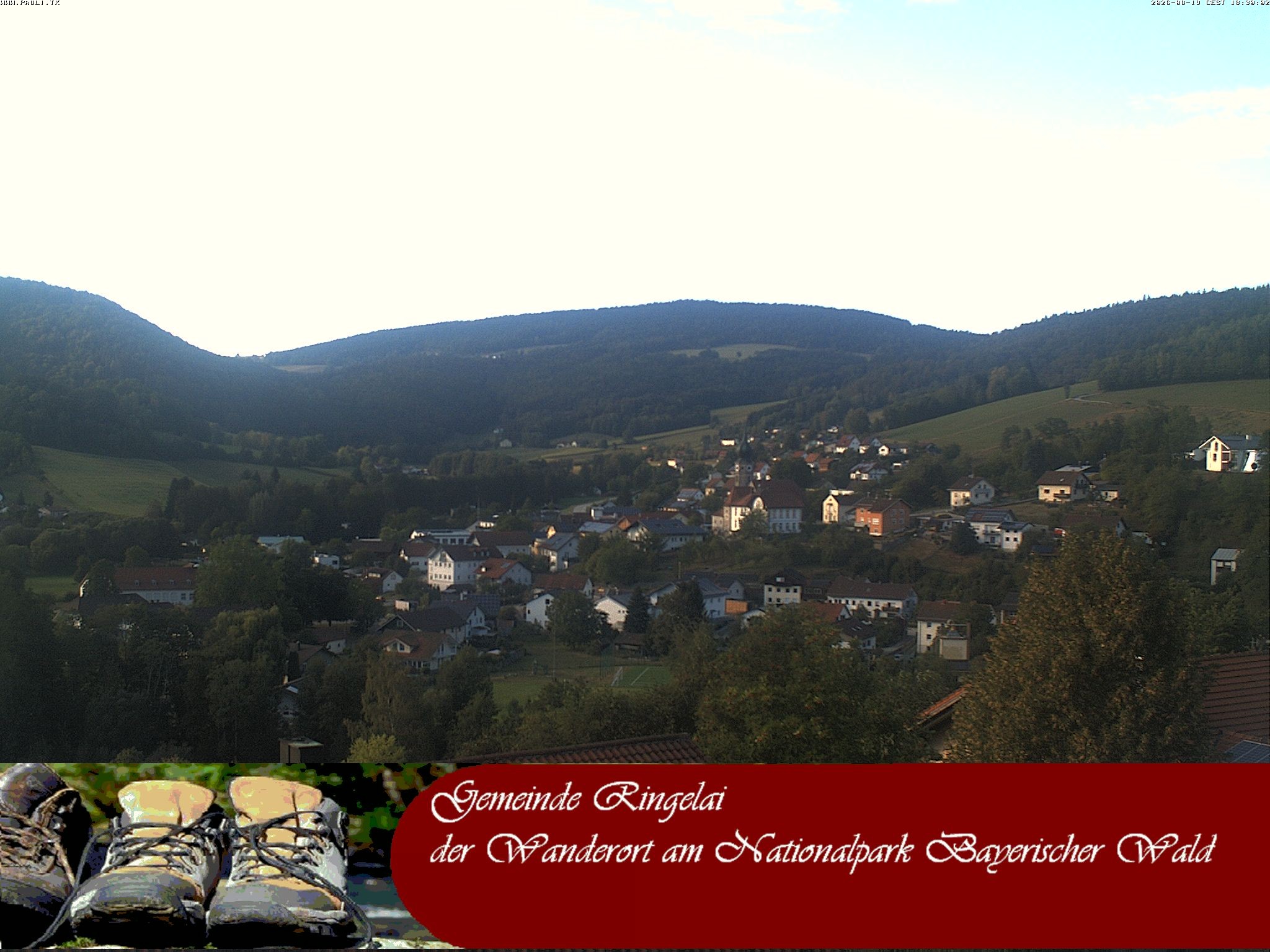 Archiv Foto Webcam Ringelai