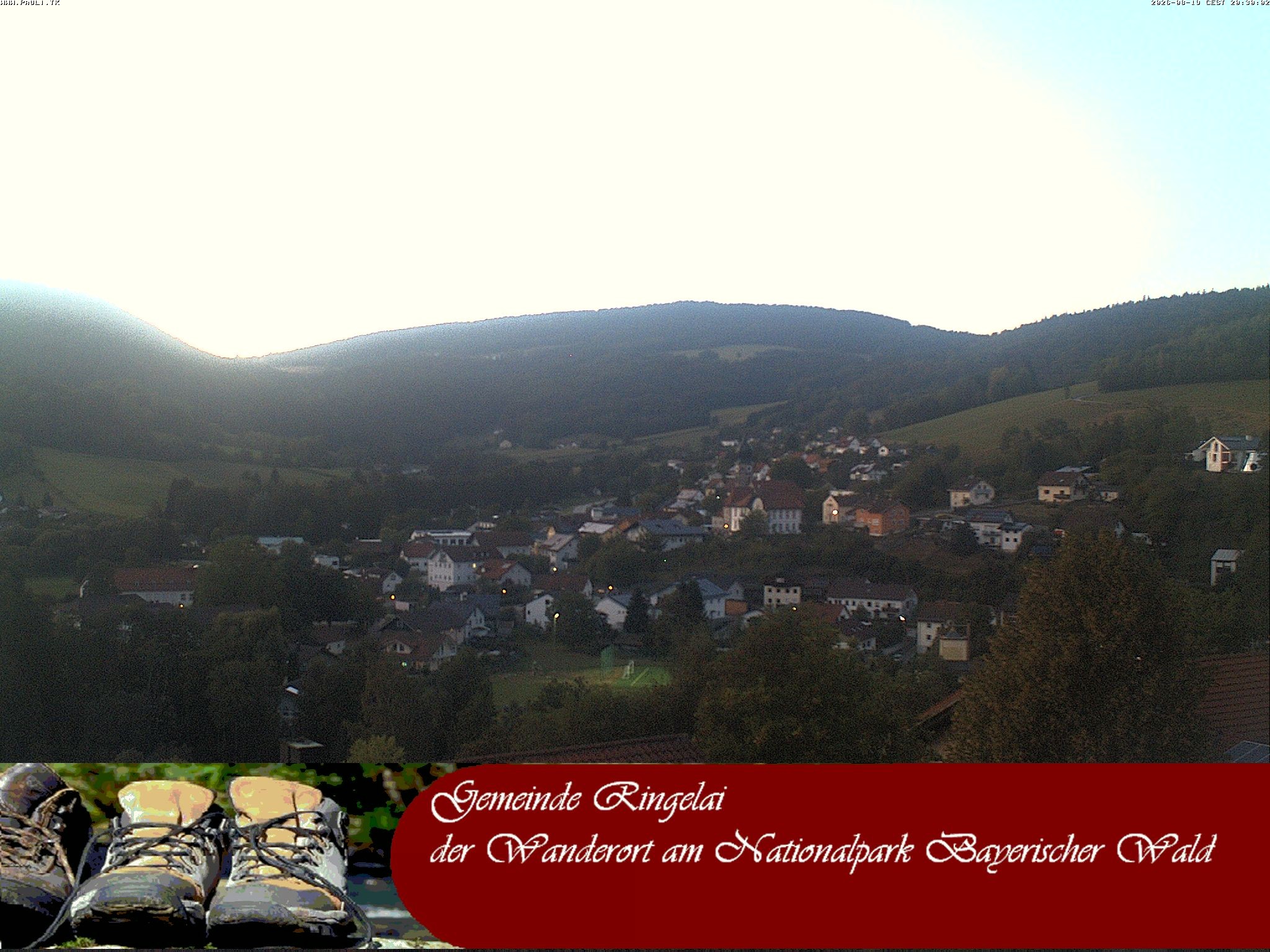 Archiv Foto Webcam Ringelai
