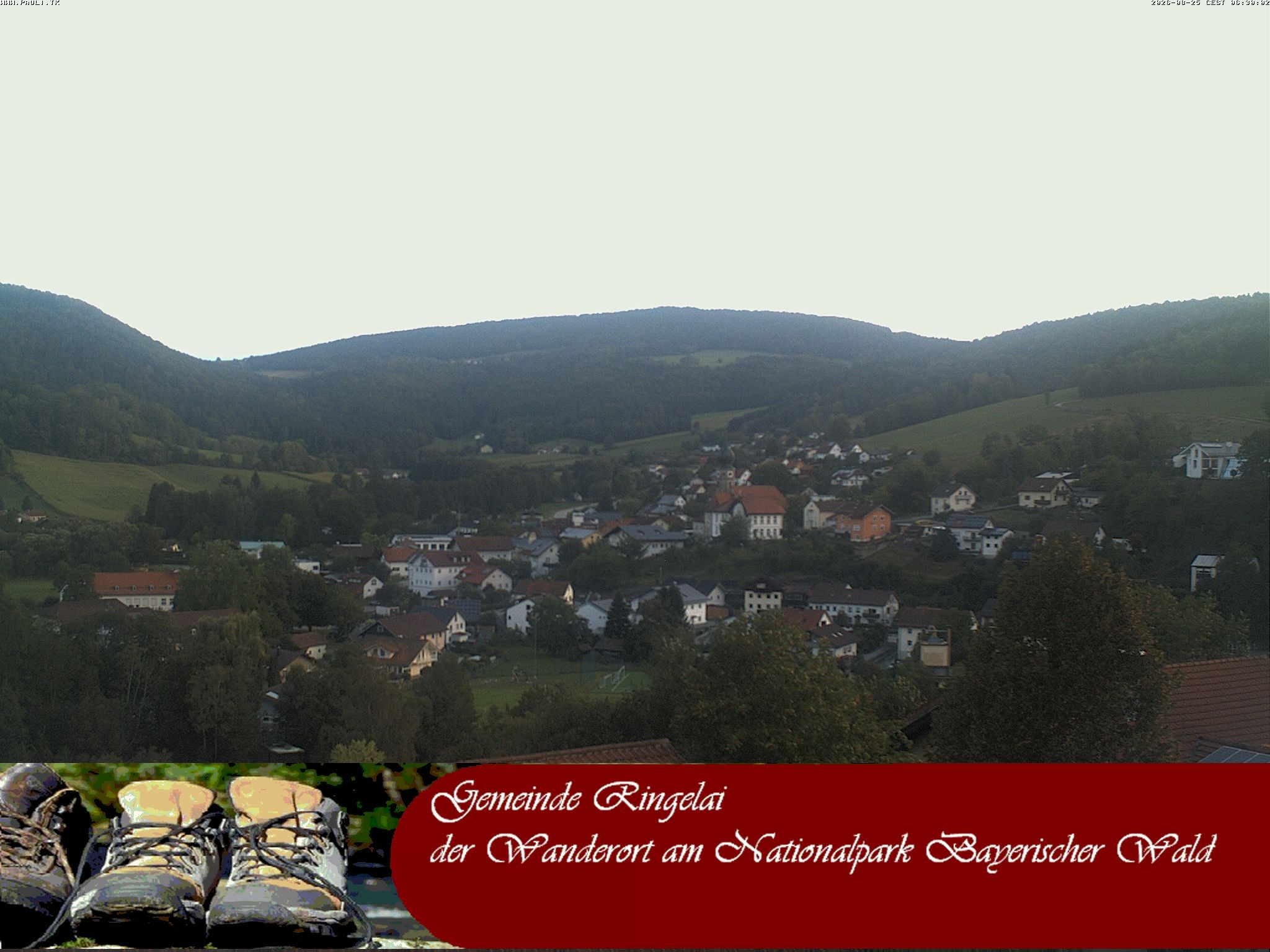 Archiv Foto Webcam Ringelai