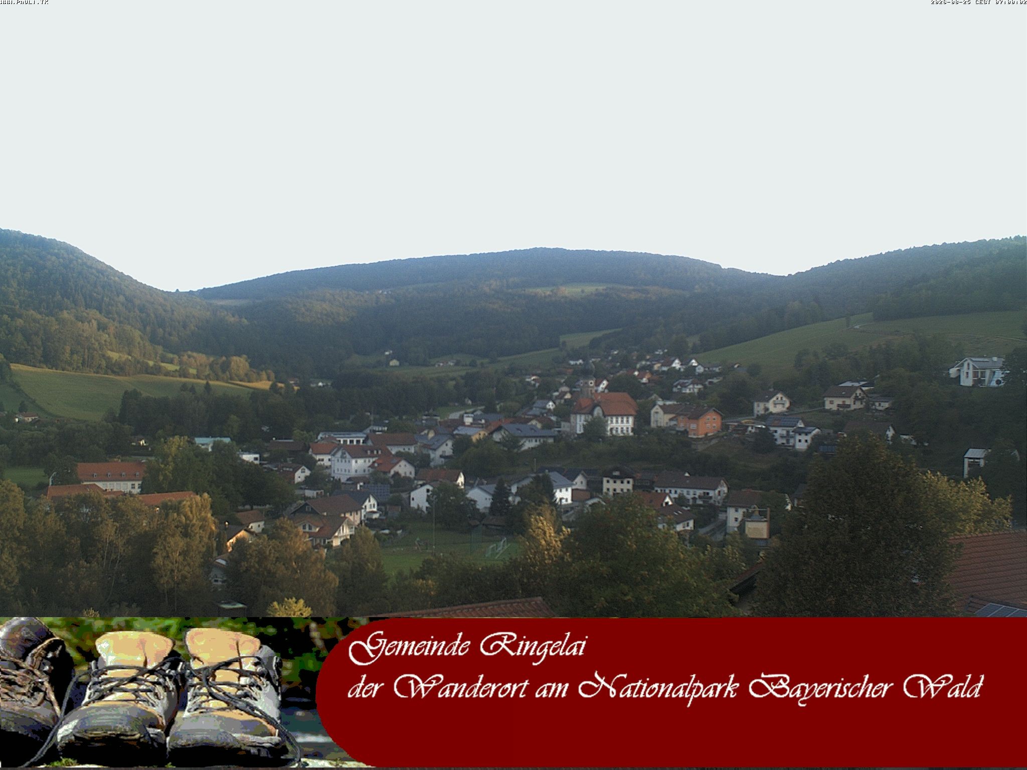 Archiv Foto Webcam Ringelai