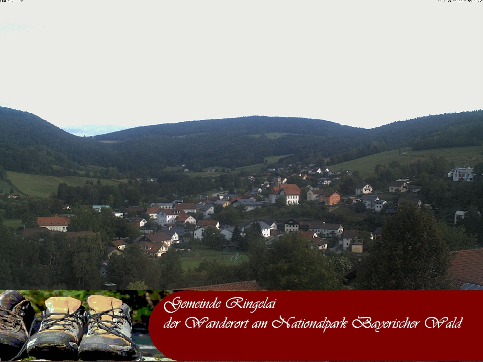 Archiv Foto Webcam Ringelai
