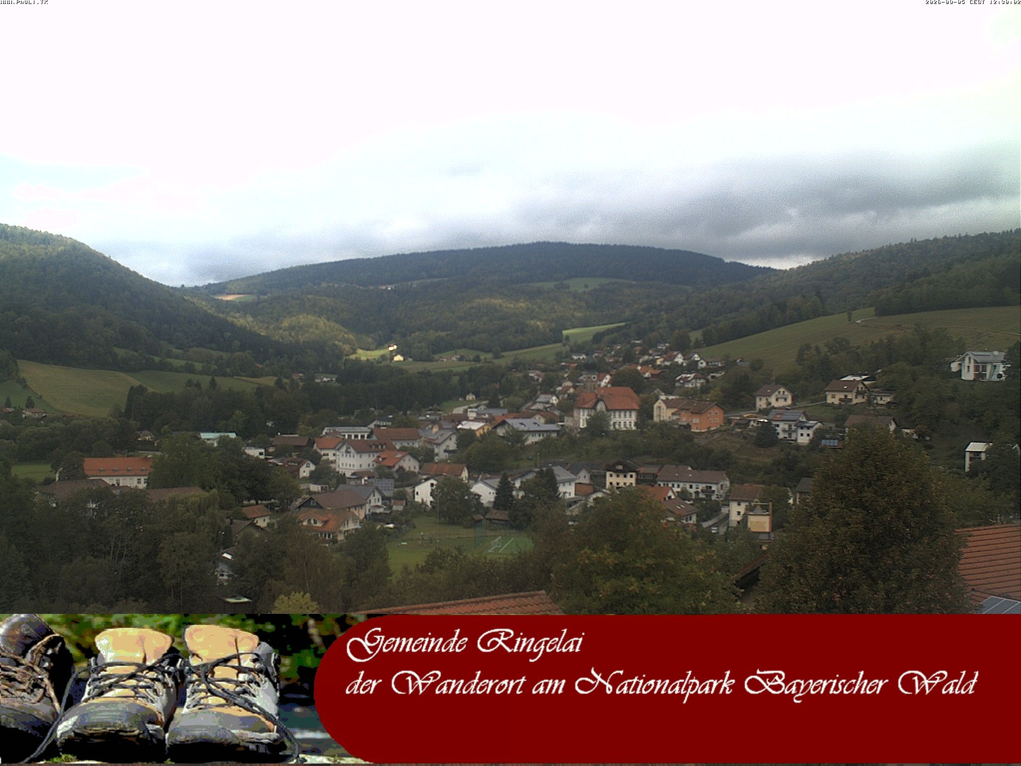 Archived image Webcam Ringelai village