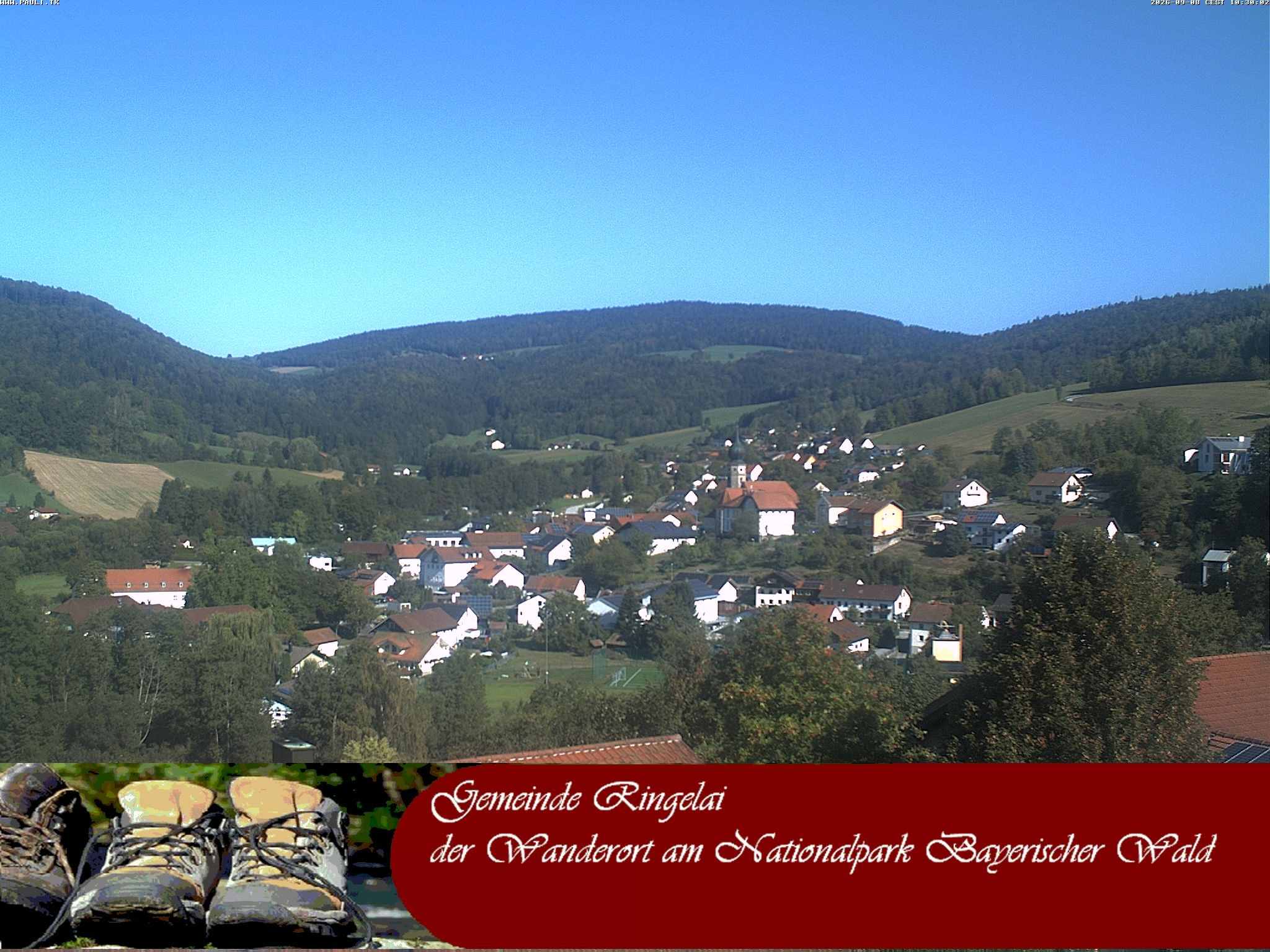 Archiv Foto Webcam Ringelai