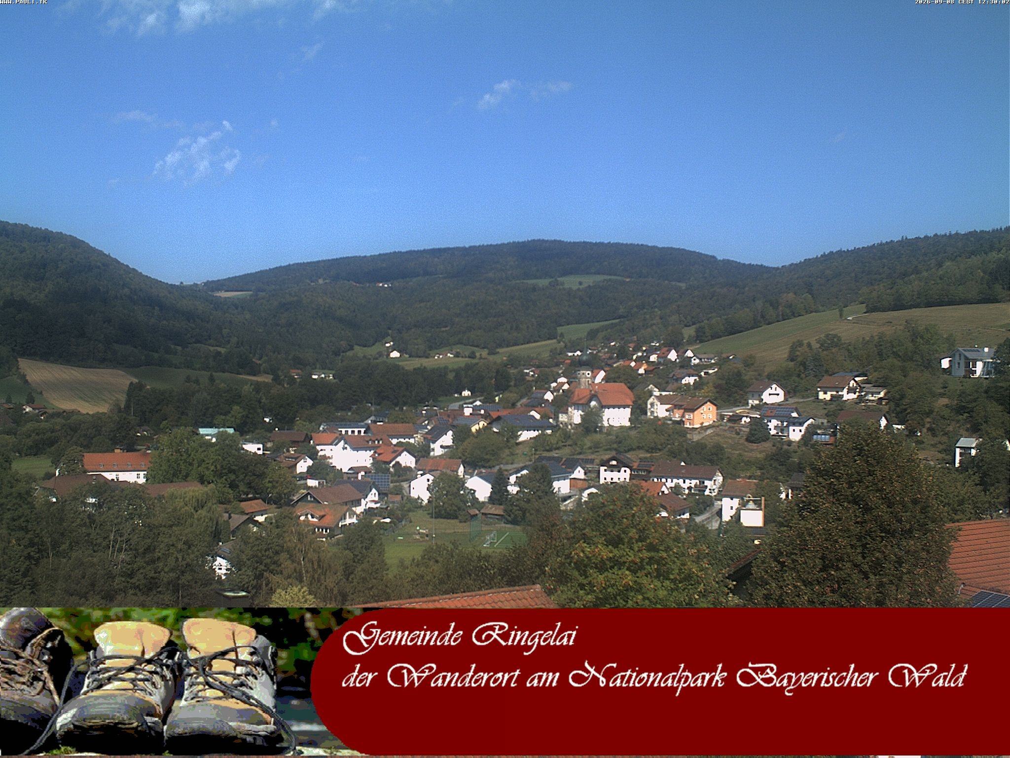 Archiv Foto Webcam Ringelai