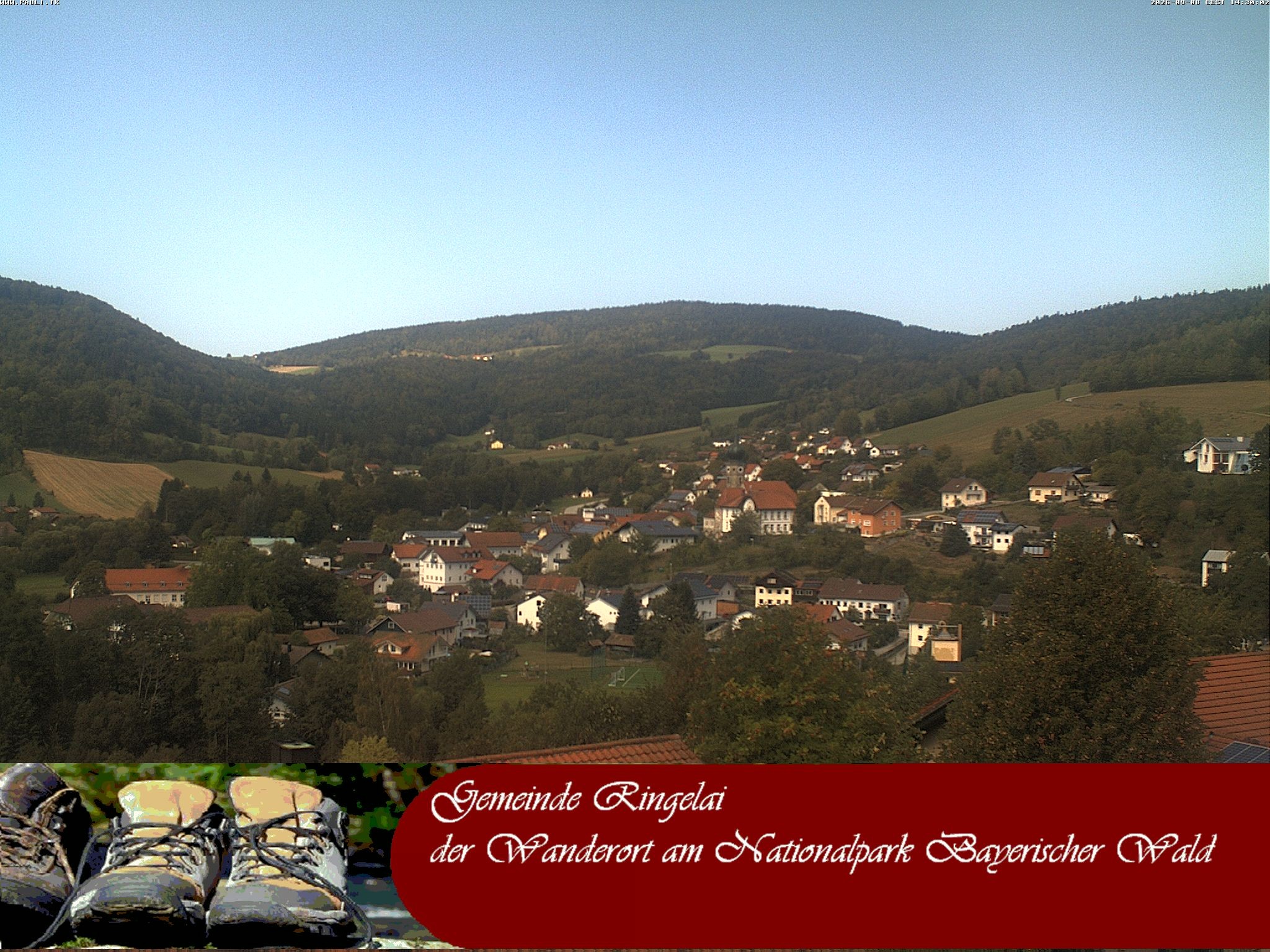 Archiv Foto Webcam Ringelai