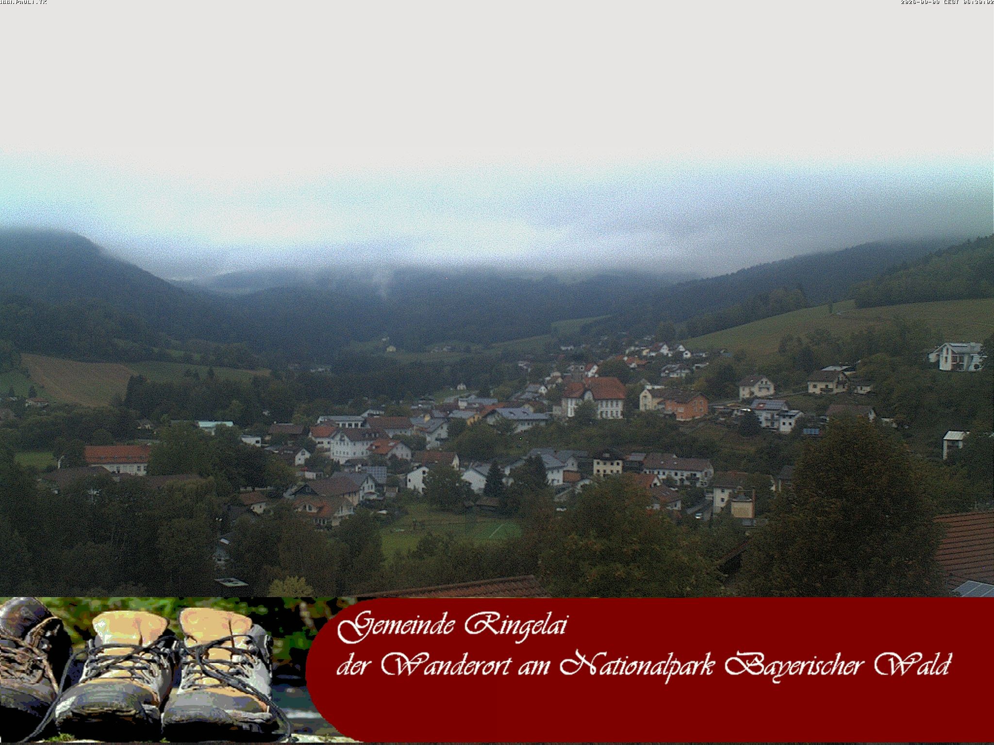 Archiv Foto Webcam Ringelai