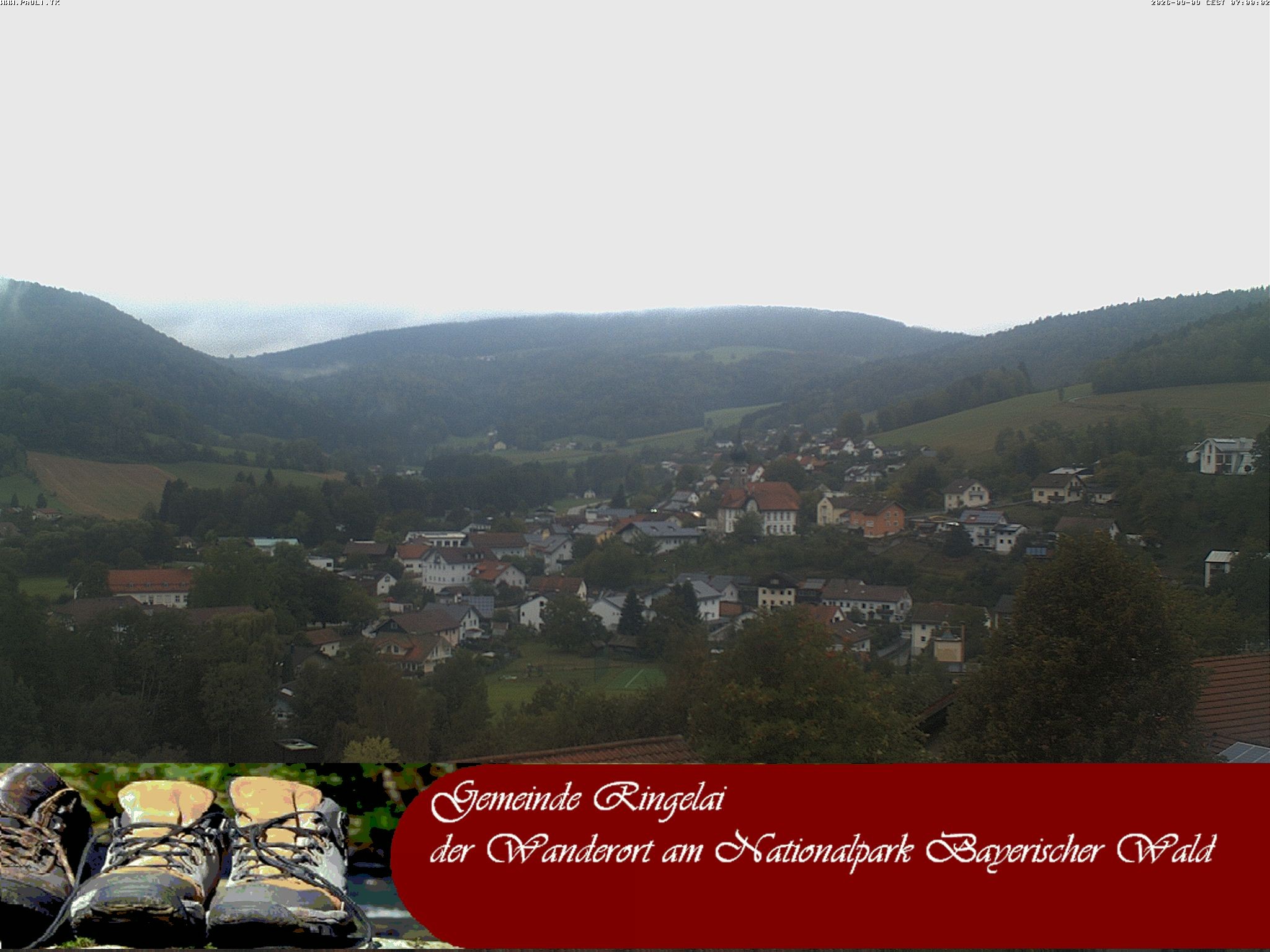 Archiv Foto Webcam Ringelai