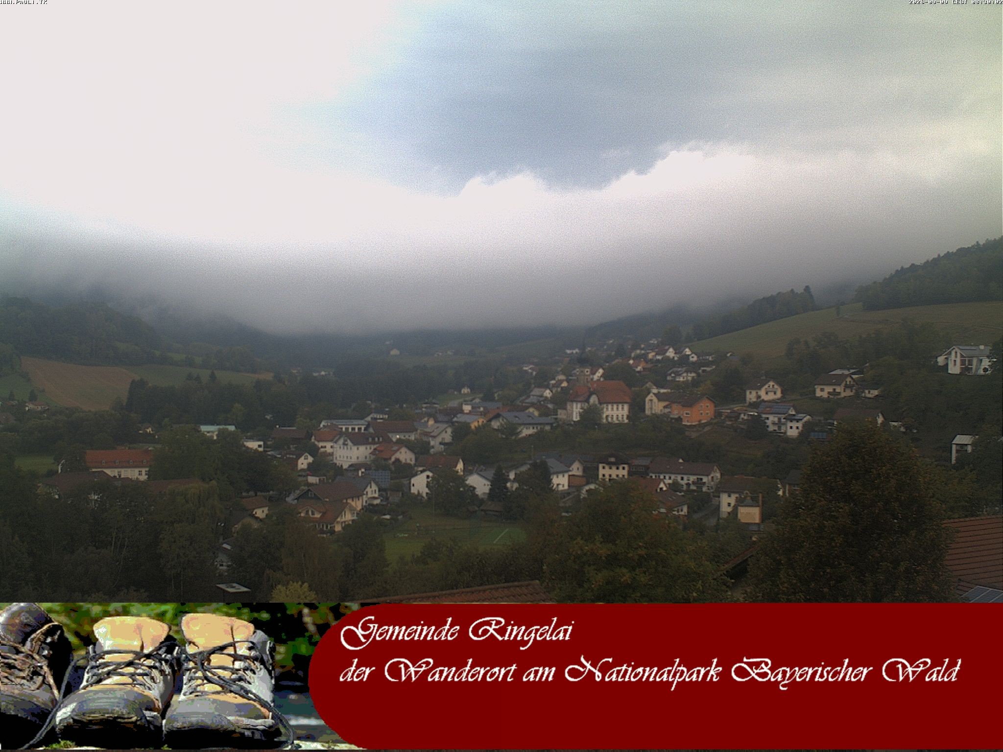 Archiv Foto Webcam Ringelai