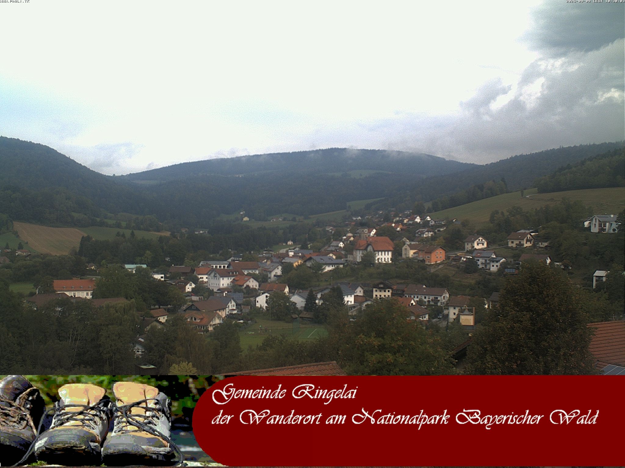 Archiv Foto Webcam Ringelai