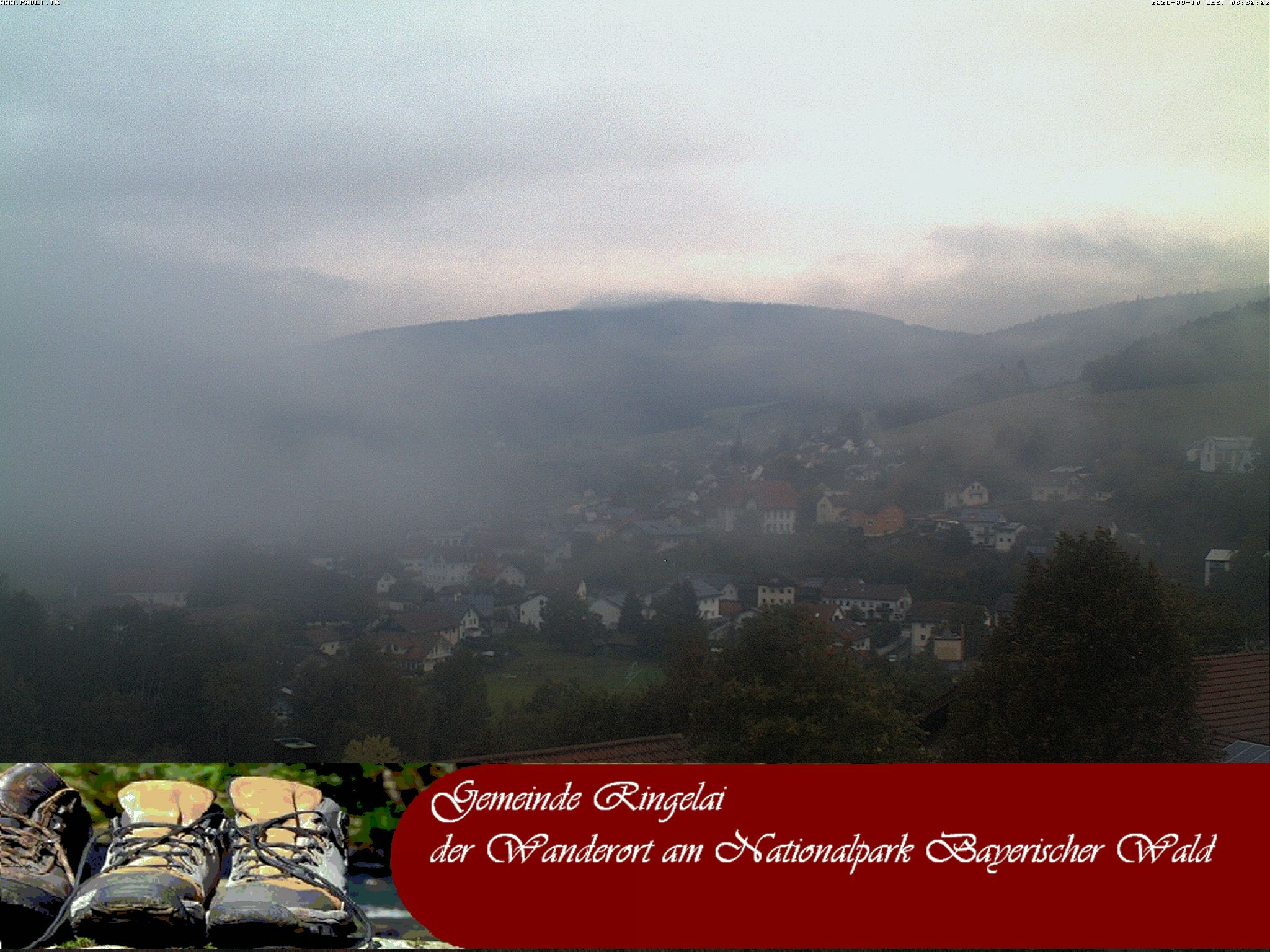 Archiv Foto Webcam Ringelai