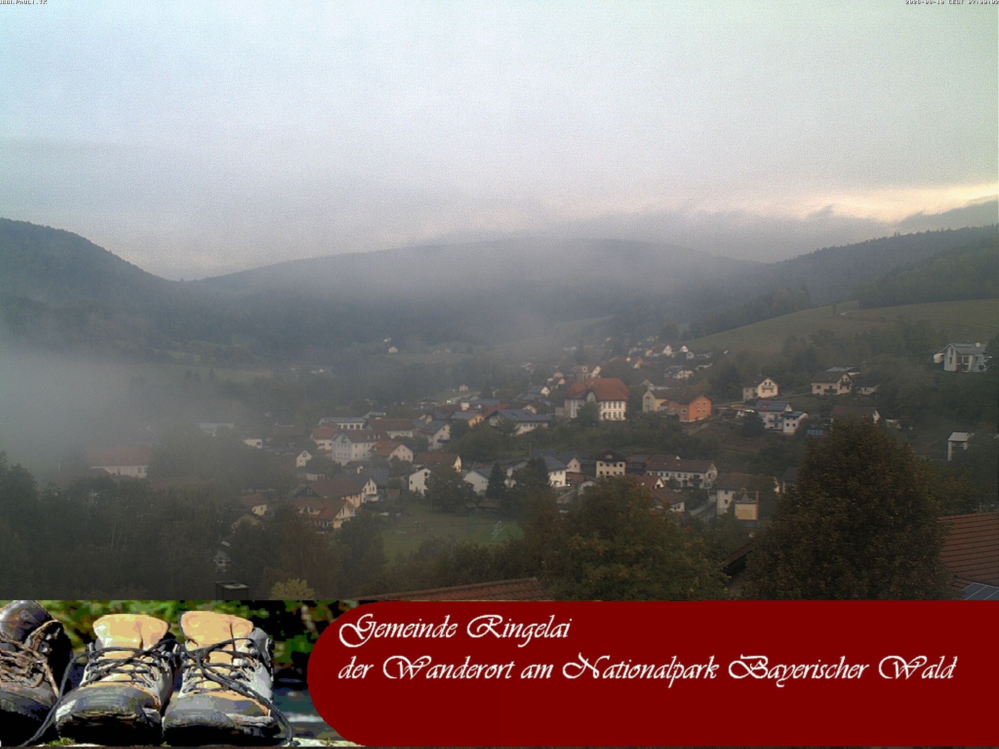 Archiv Foto Webcam Ringelai