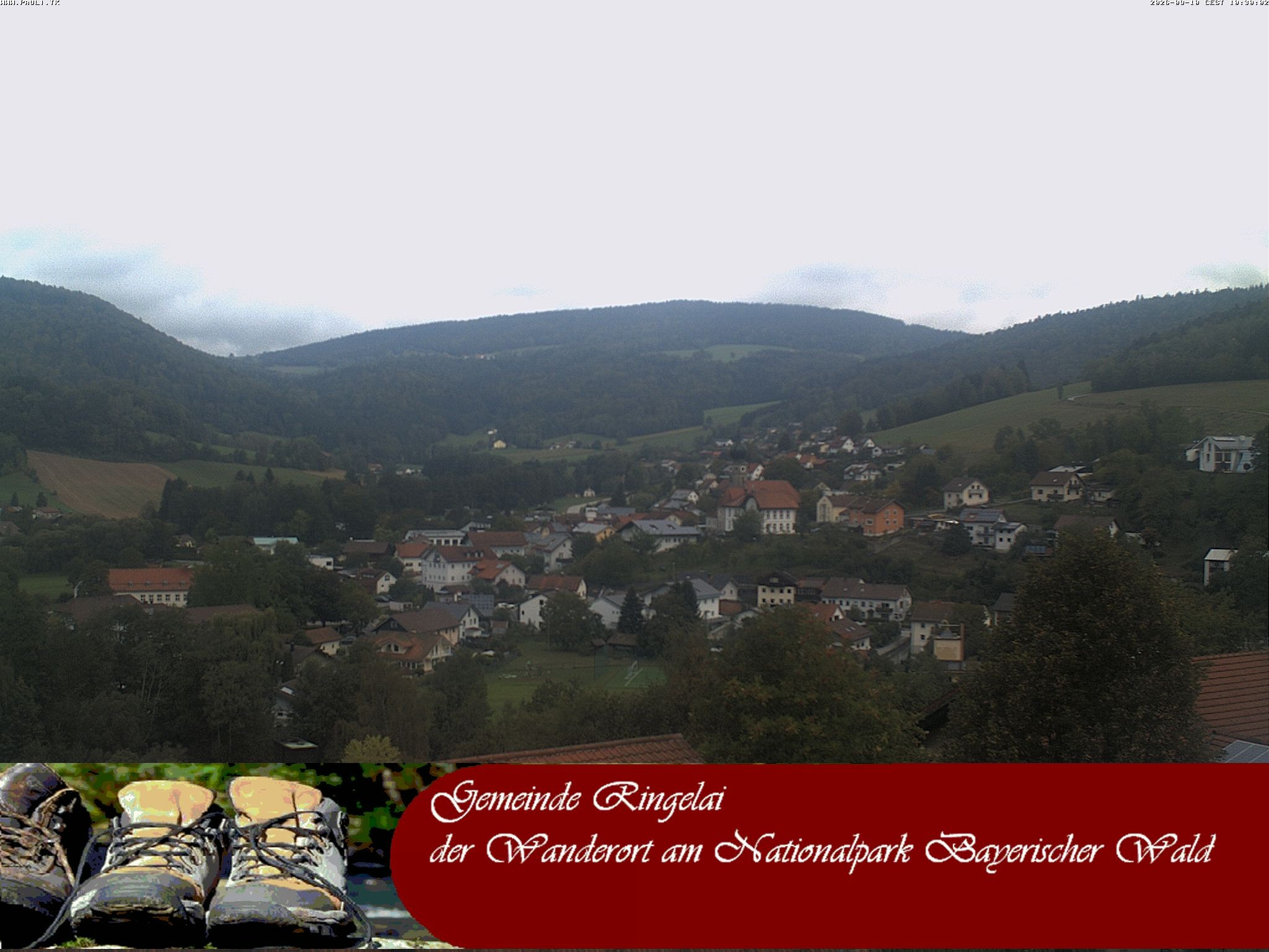 Archiv Foto Webcam Ringelai