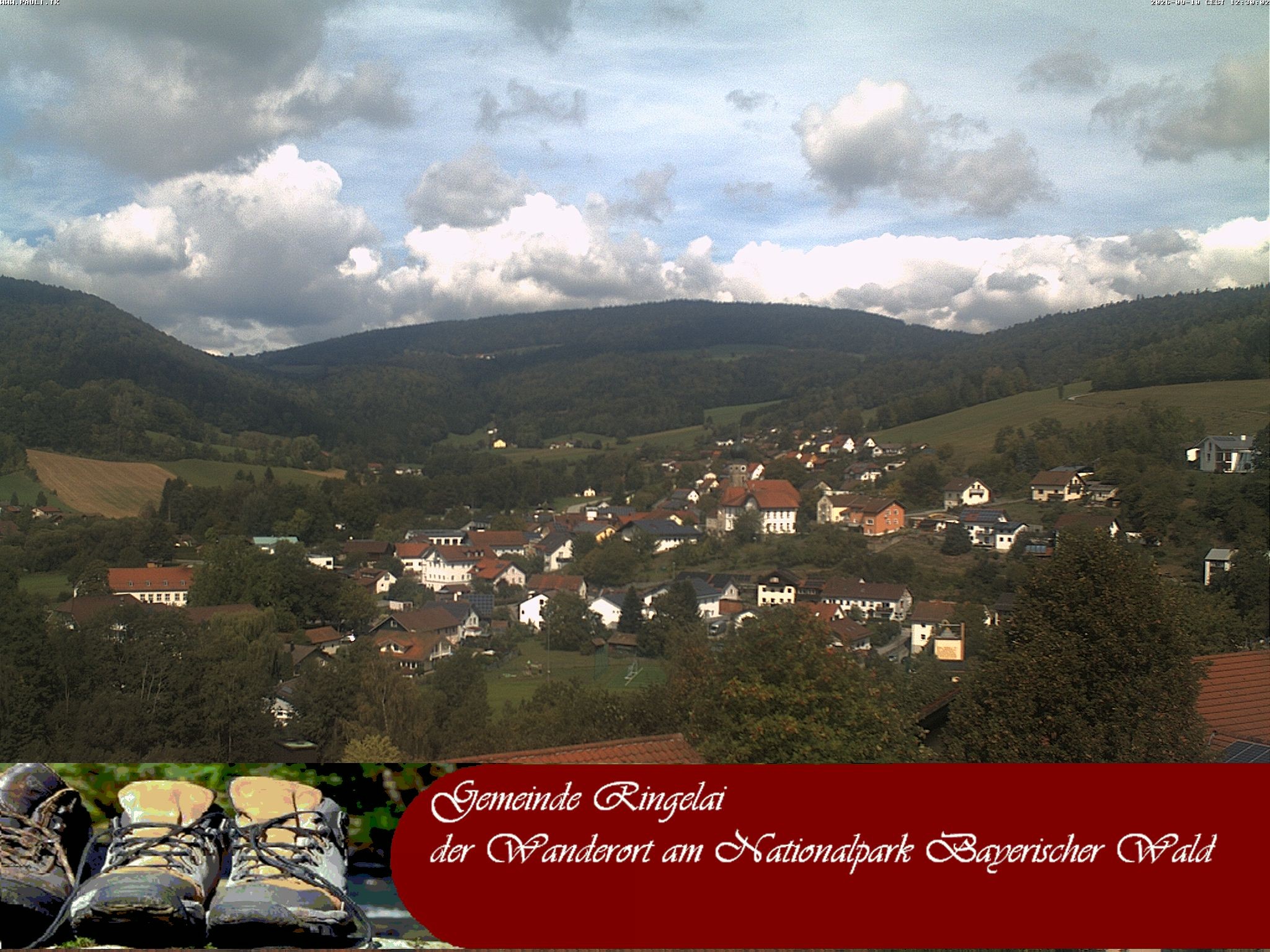 Archiv Foto Webcam Ringelai