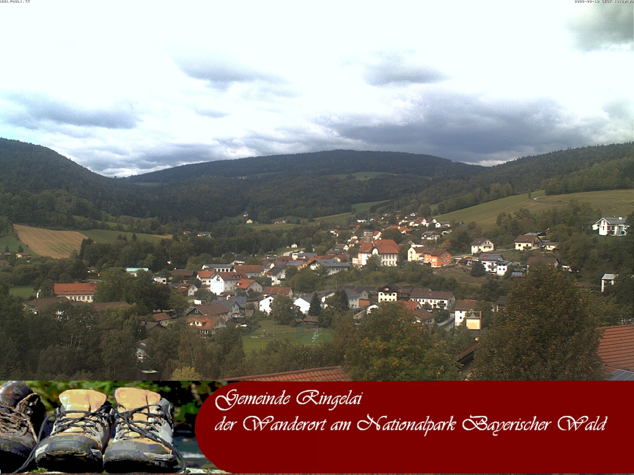 Archiv Foto Webcam Ringelai