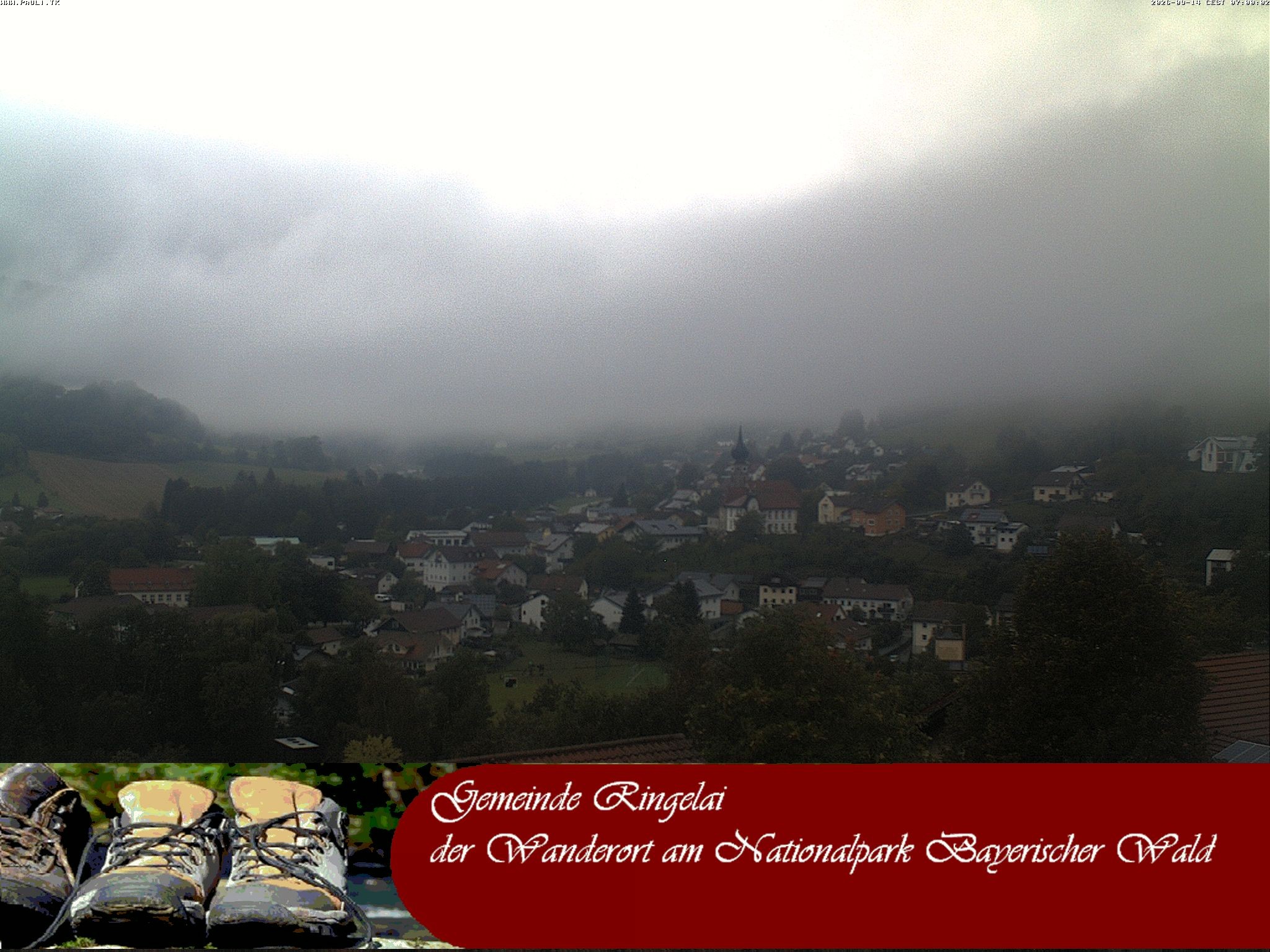 Archiv Foto Webcam Ringelai