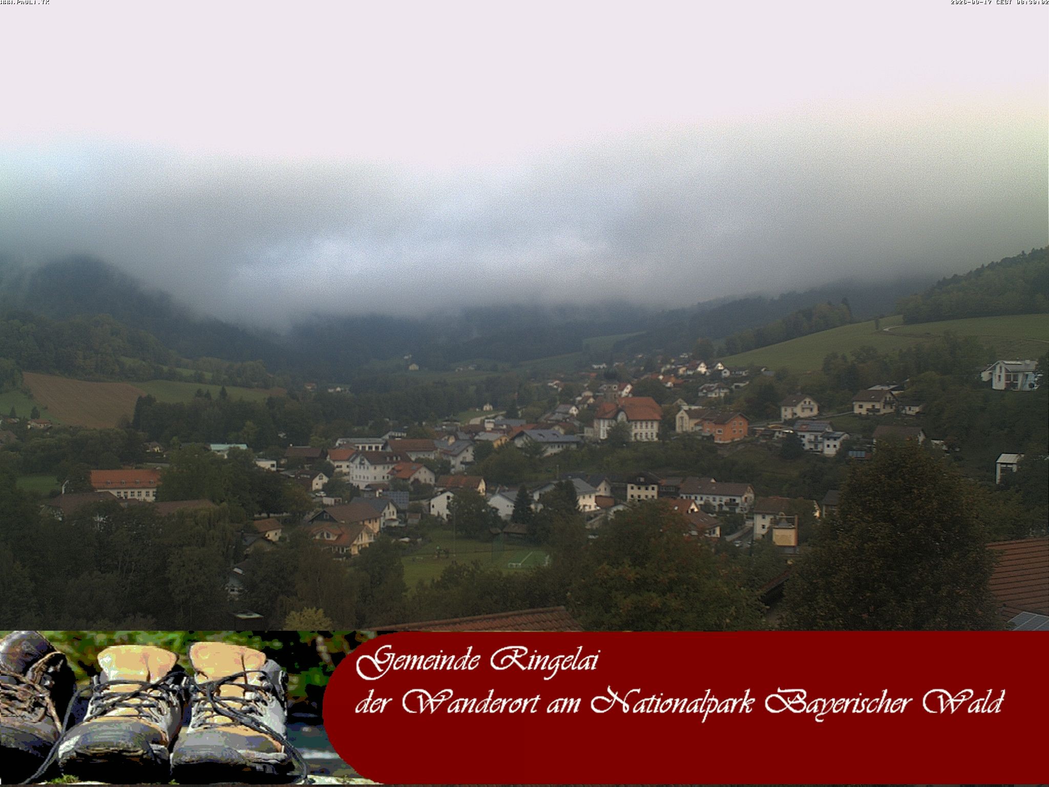 Archiv Foto Webcam Ringelai