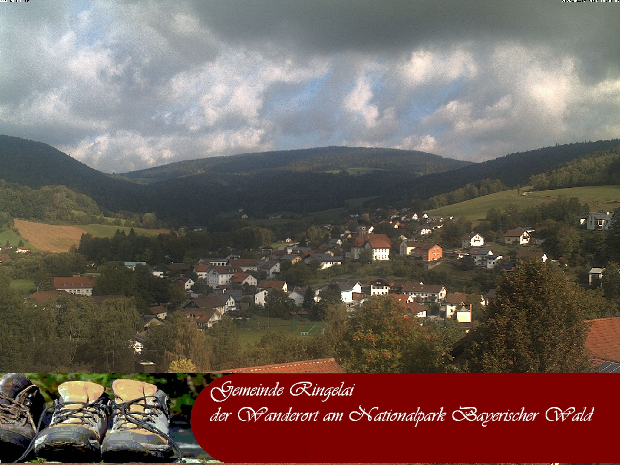 Archiv Foto Webcam Ringelai
