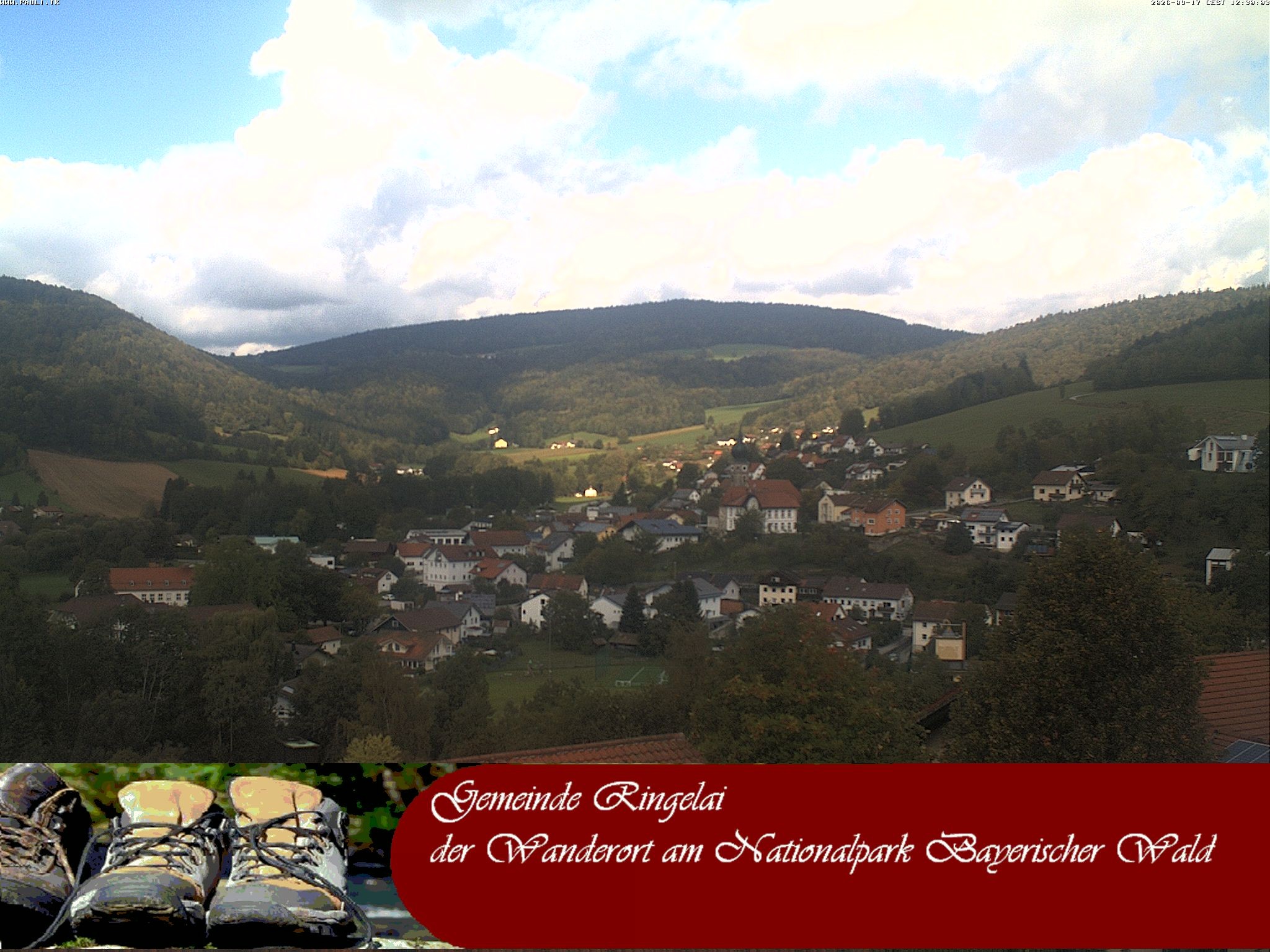 Archiv Foto Webcam Ringelai