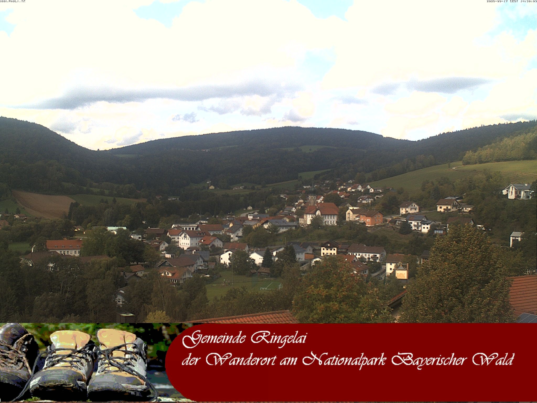 Archiv Foto Webcam Ringelai