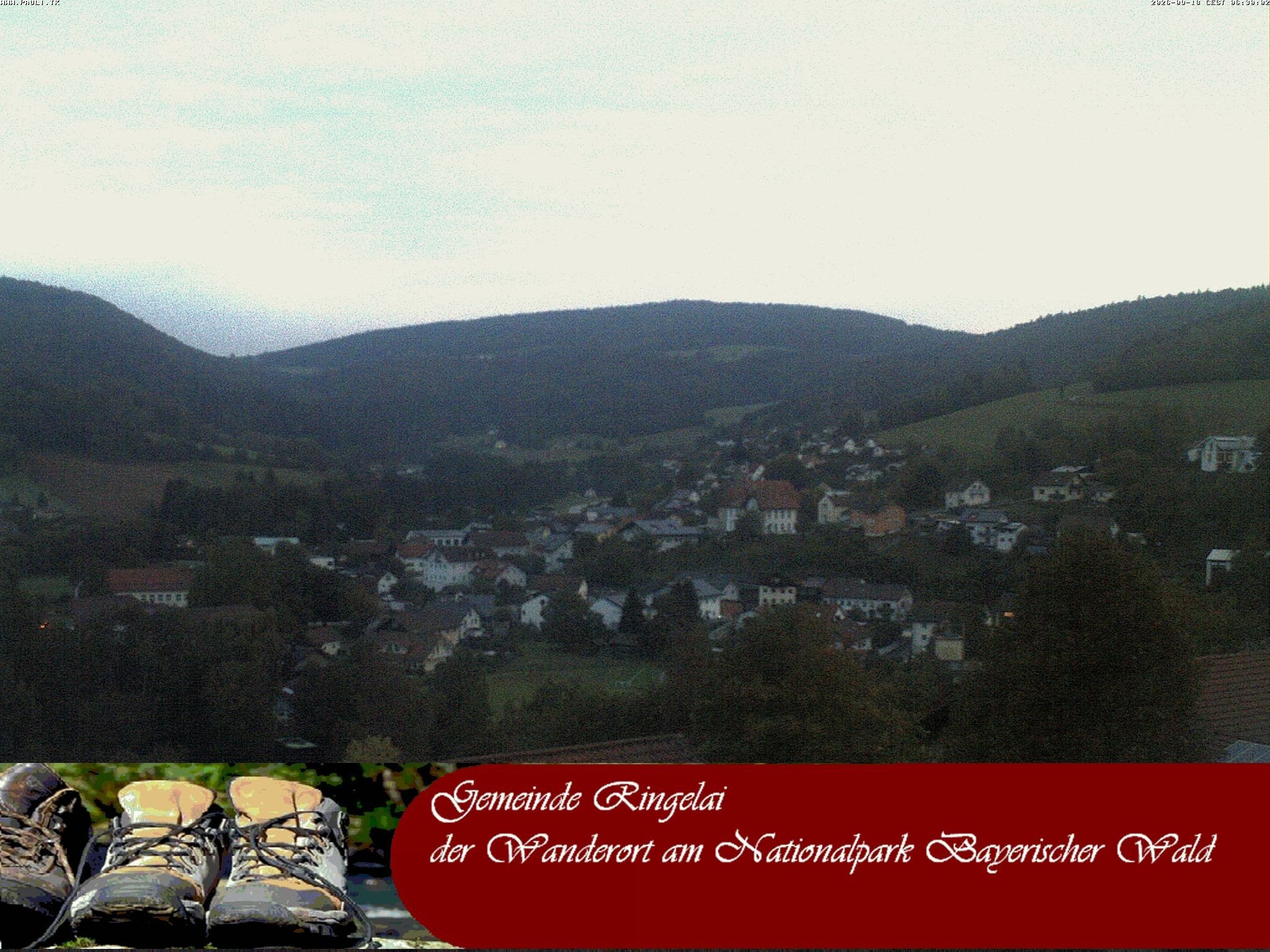 Archiv Foto Webcam Ringelai