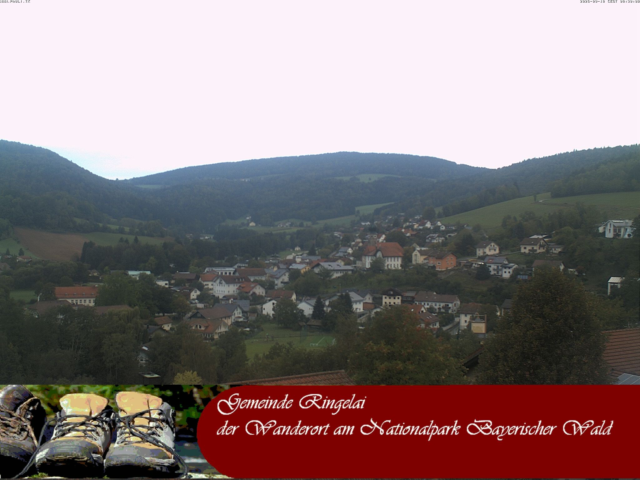 Archiv Foto Webcam Ringelai