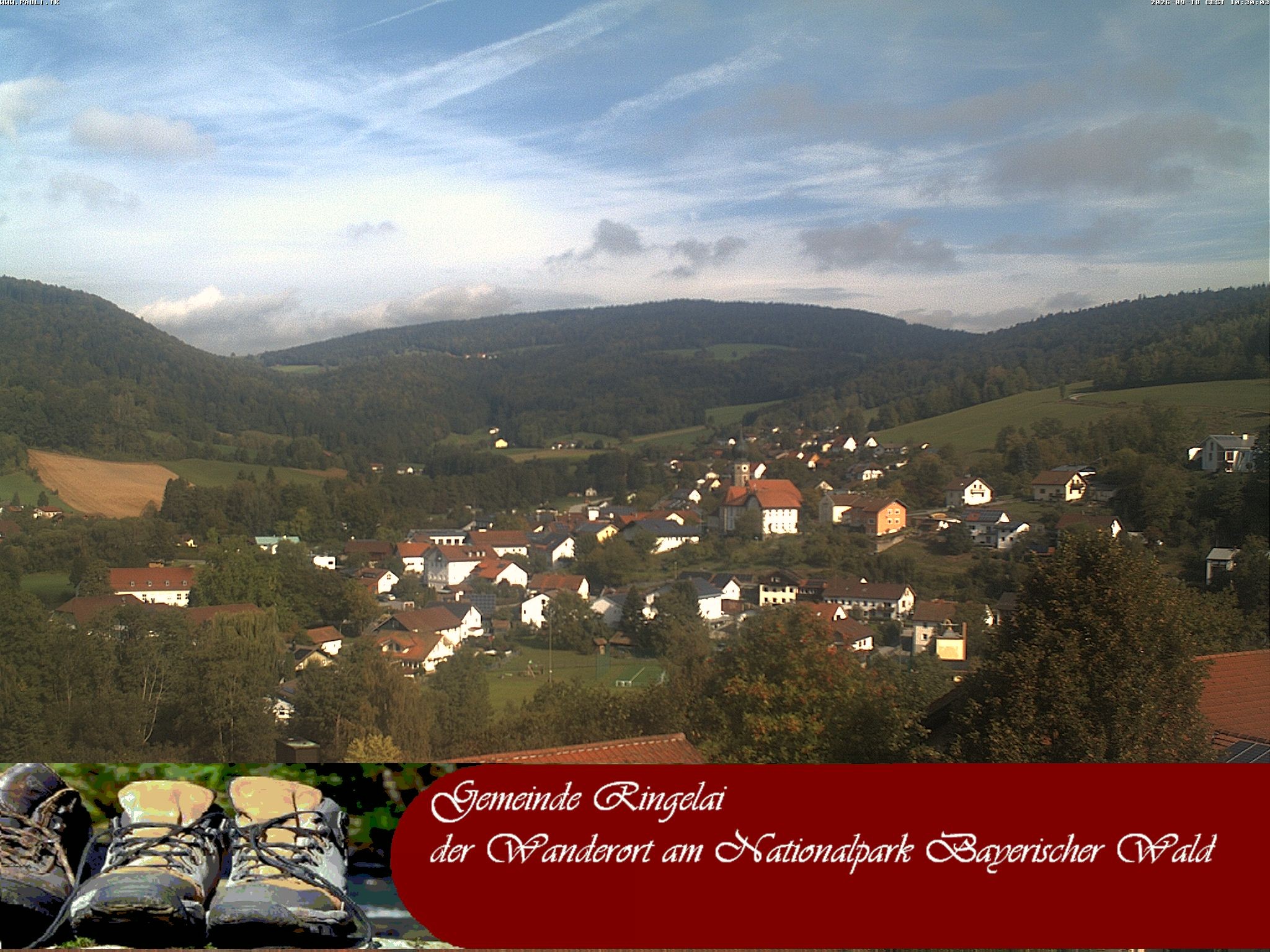Archiv Foto Webcam Ringelai