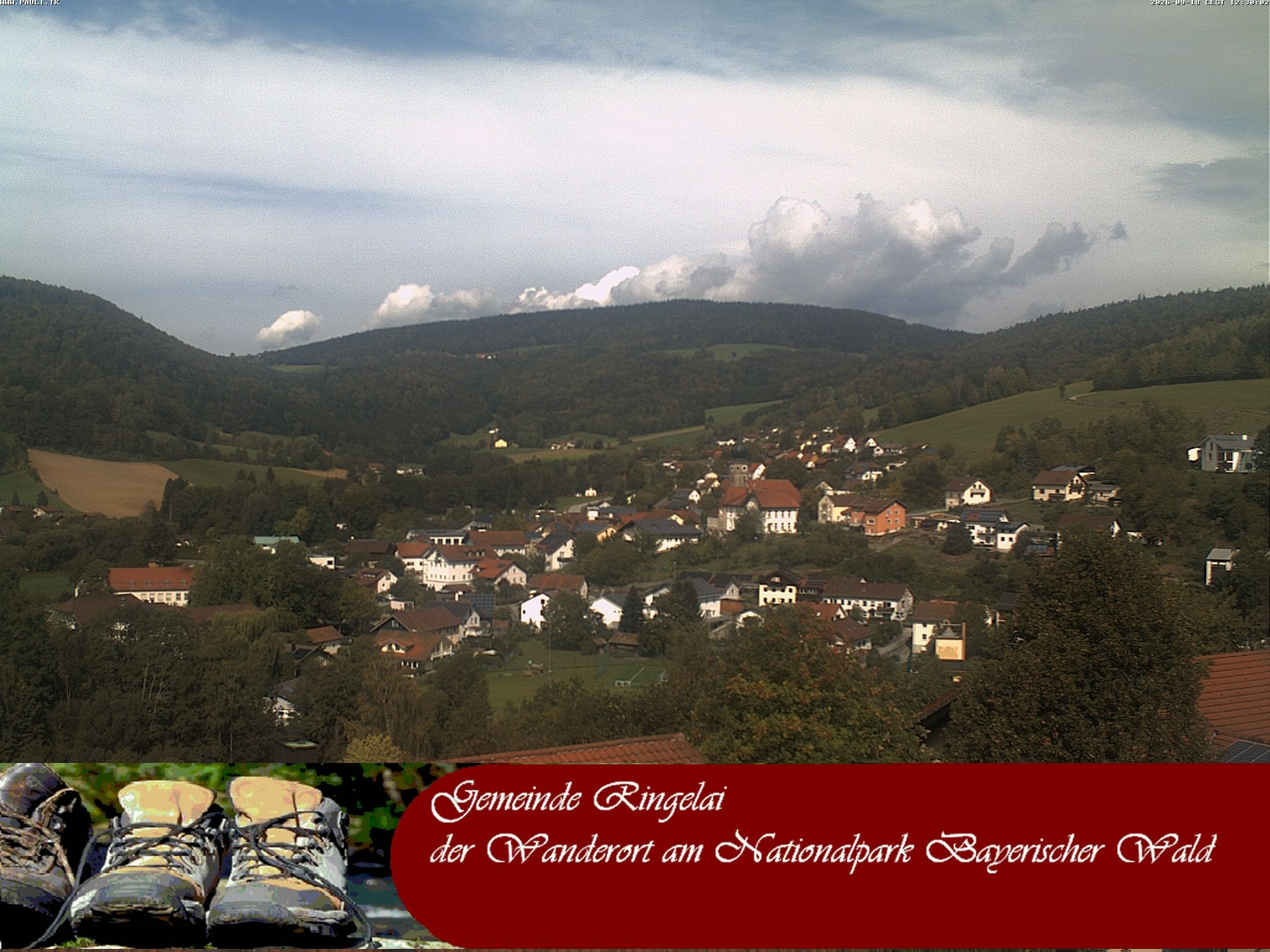 Archiv Foto Webcam Ringelai