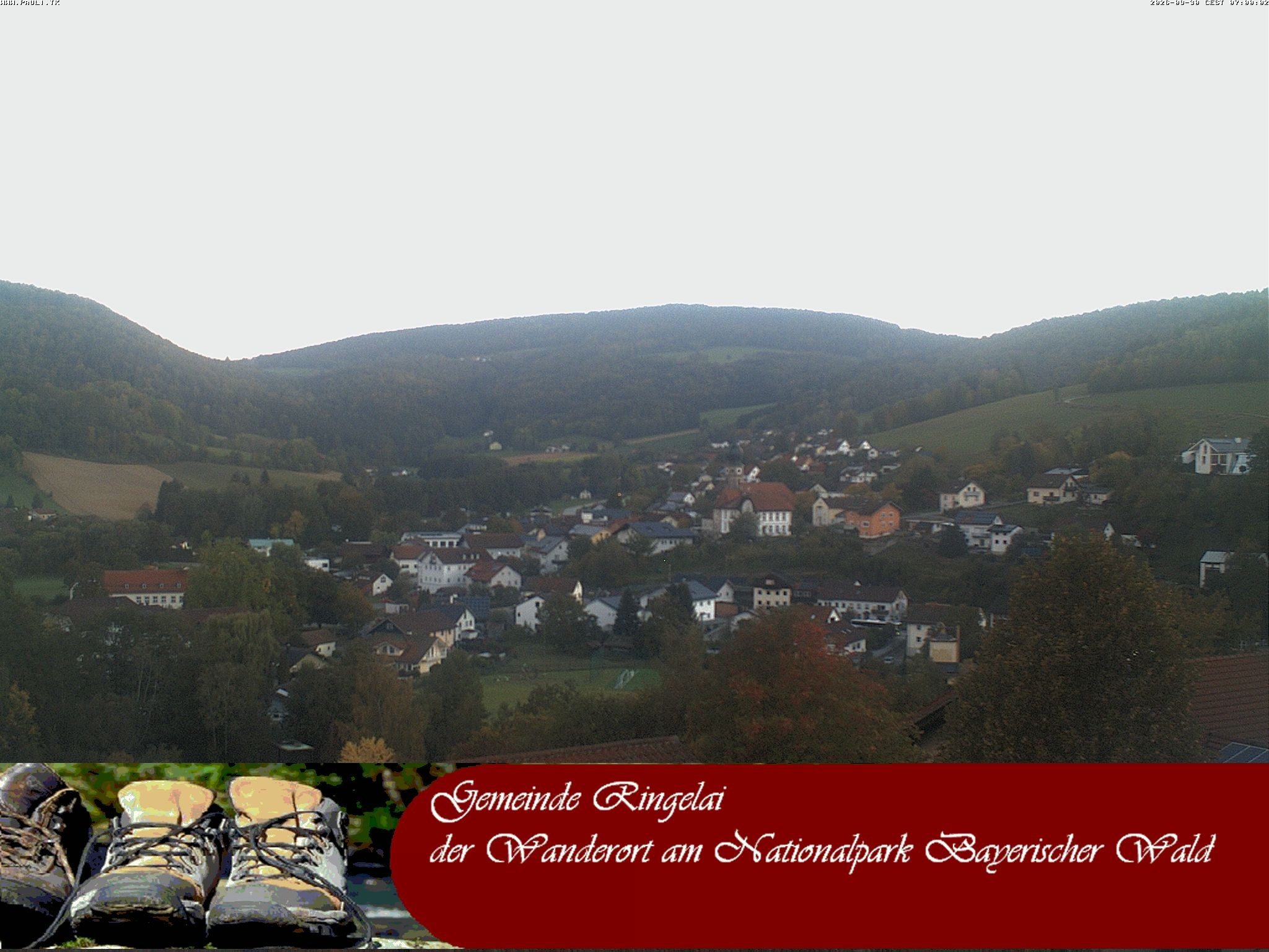 Archiv Foto Webcam Ringelai