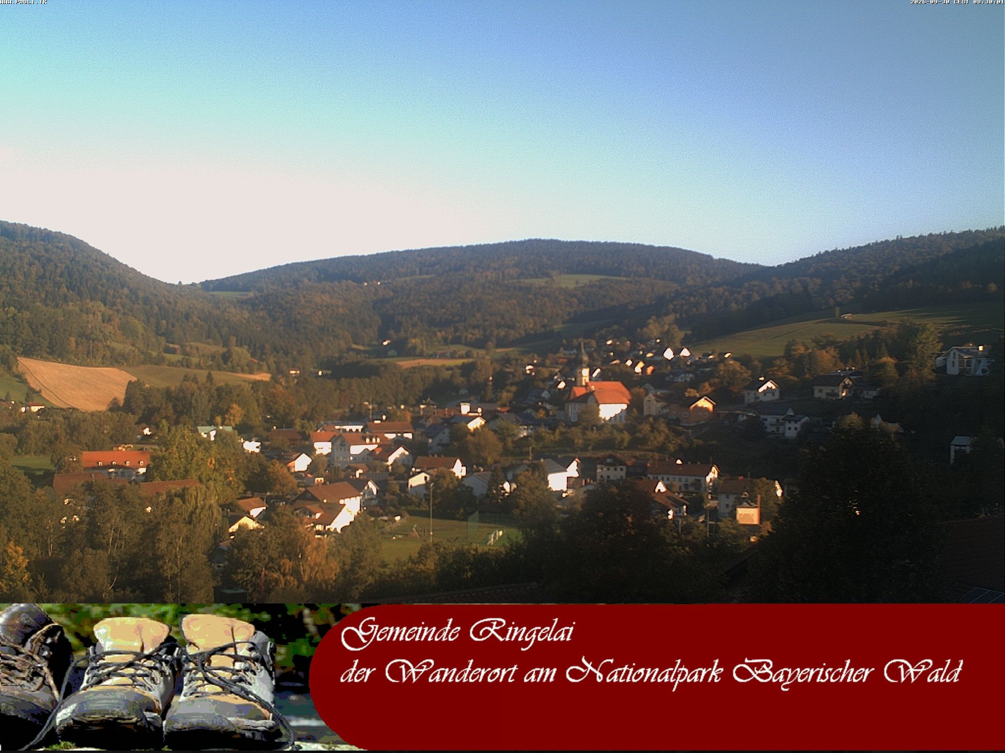 Archiv Foto Webcam Ringelai