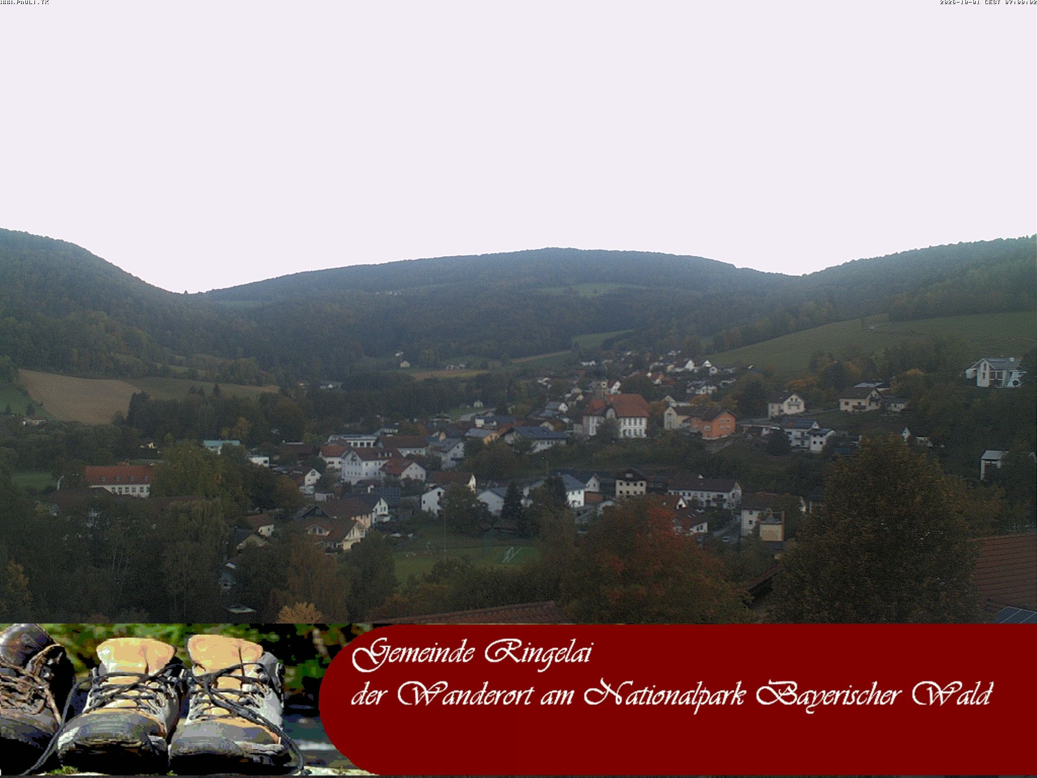 Archiv Foto Webcam Ringelai
