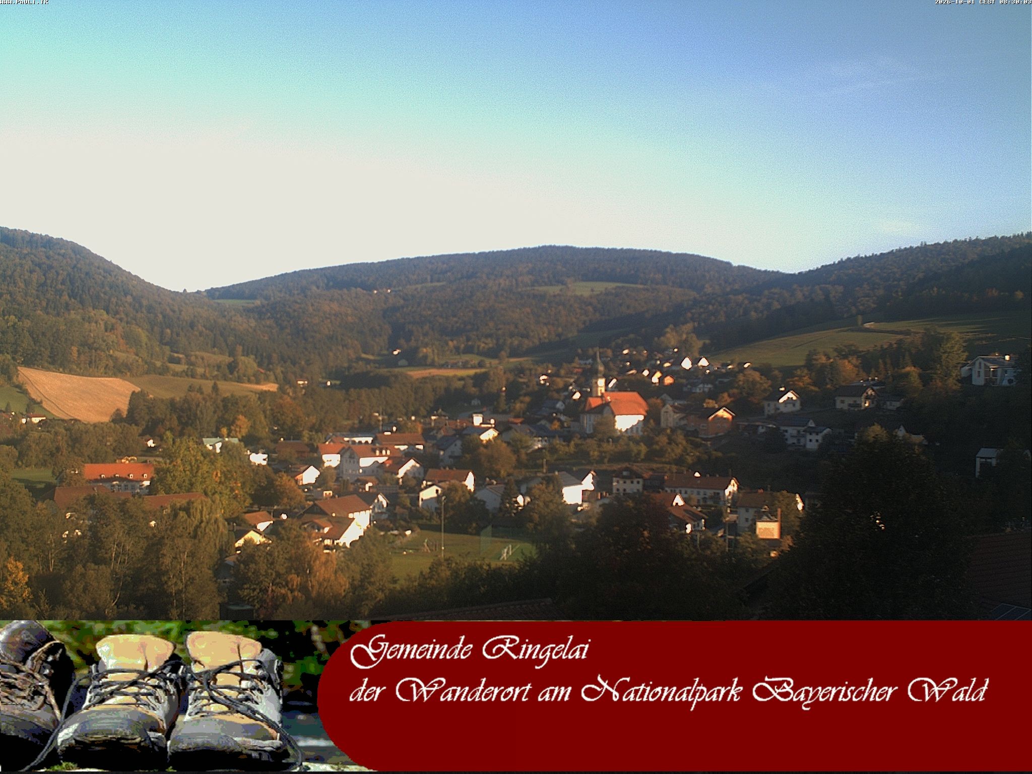 Archiv Foto Webcam Ringelai