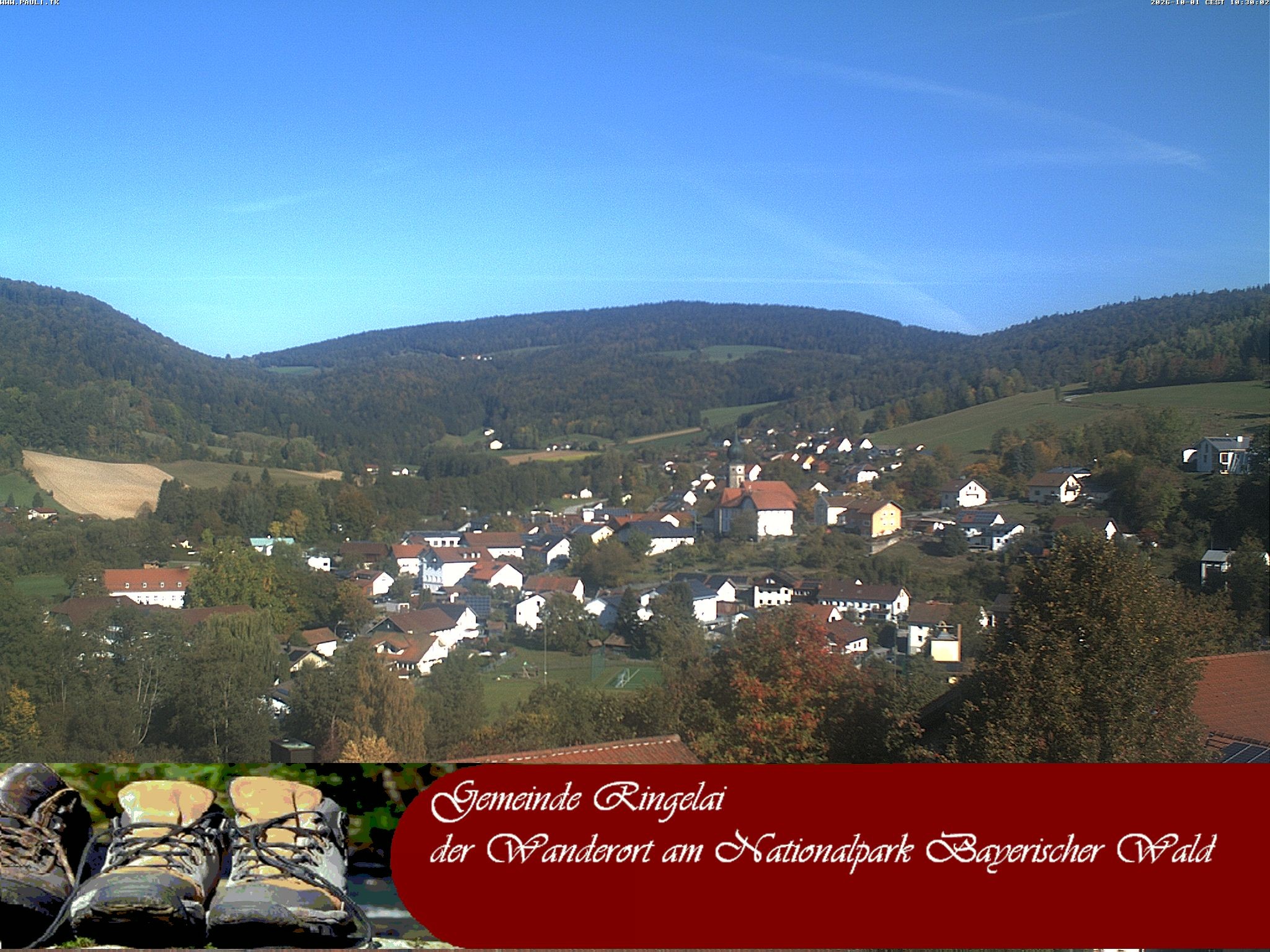 Archiv Foto Webcam Ringelai
