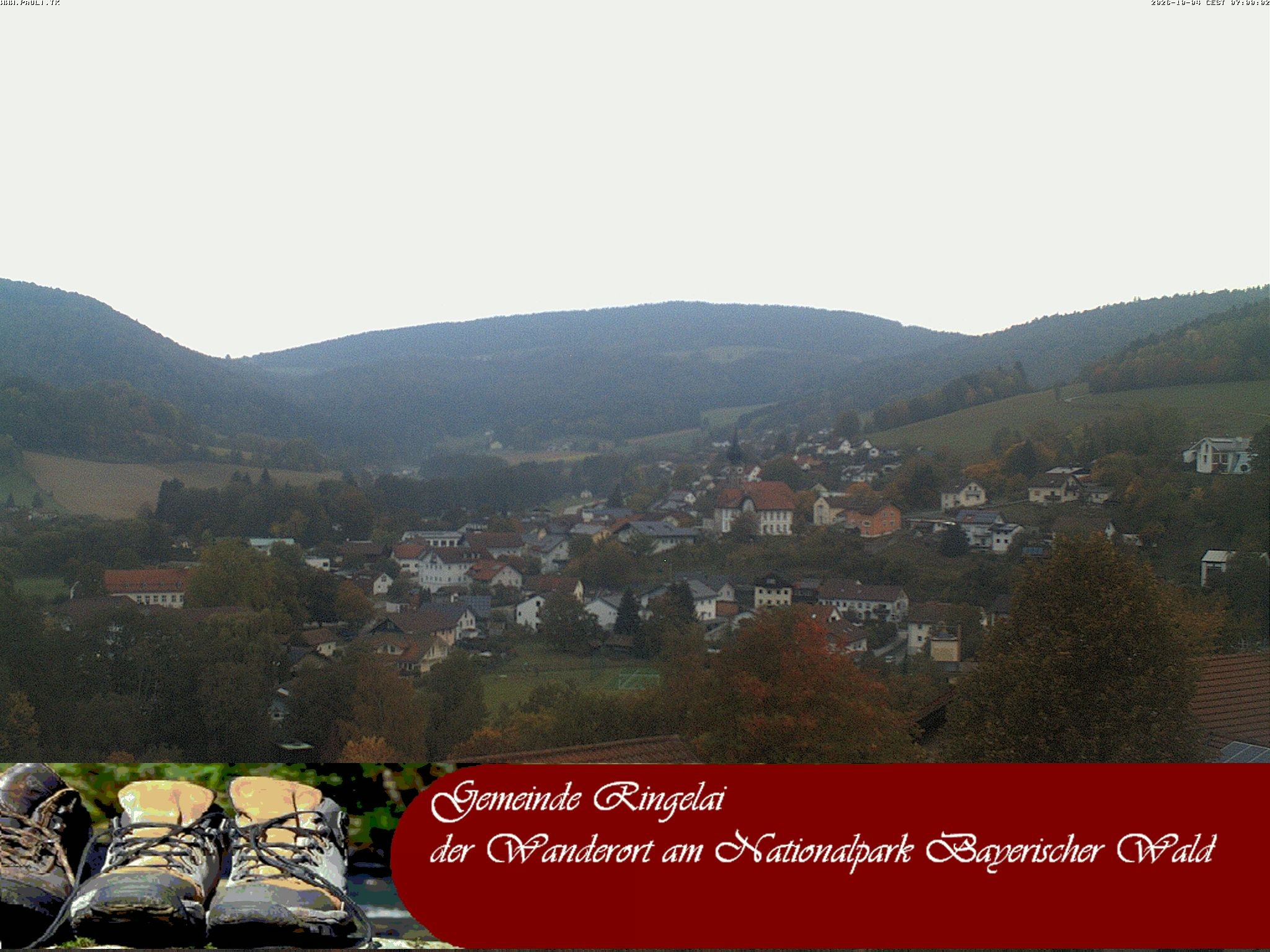 Archiv Foto Webcam Ringelai
