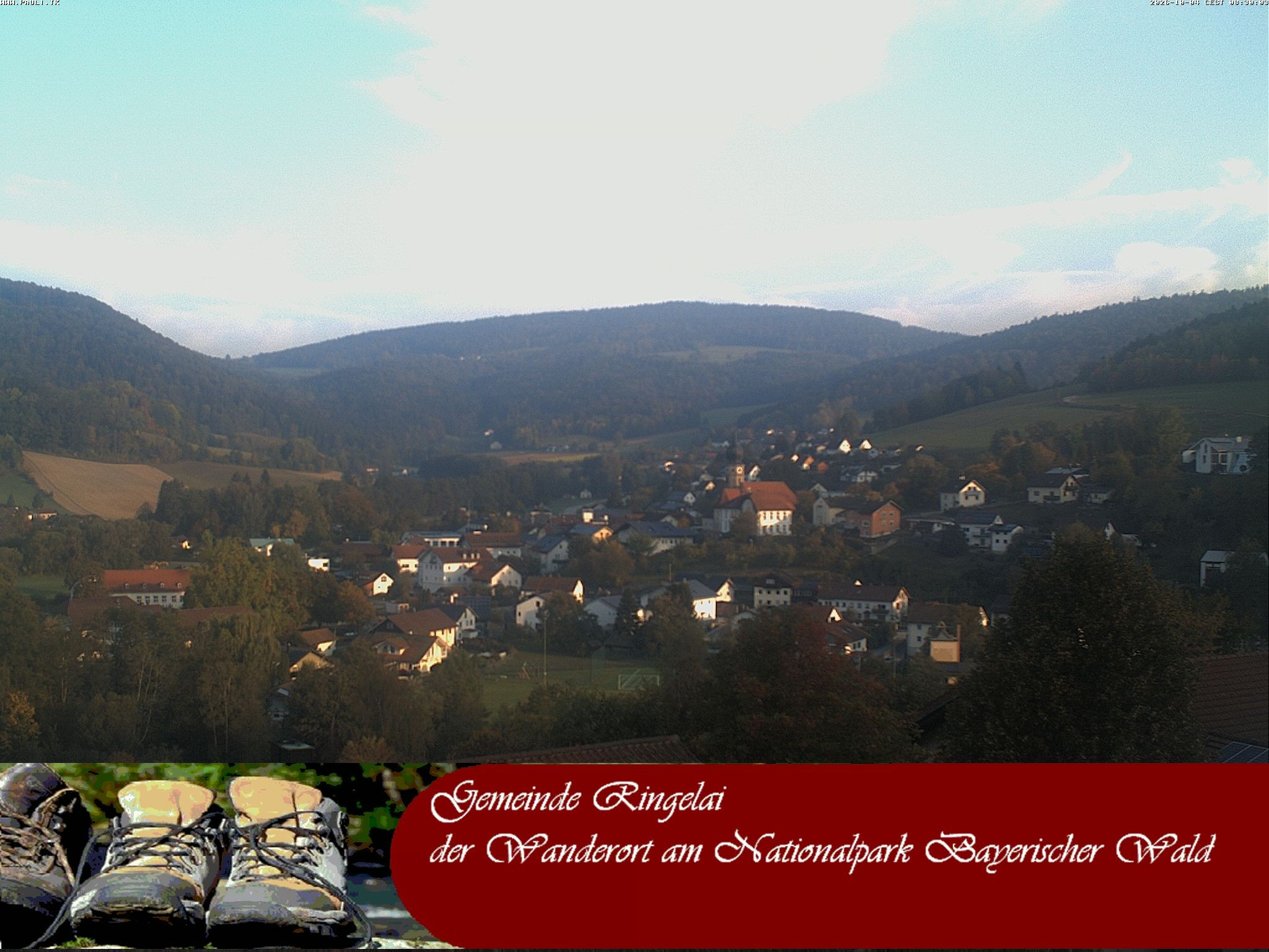 Archiv Foto Webcam Ringelai