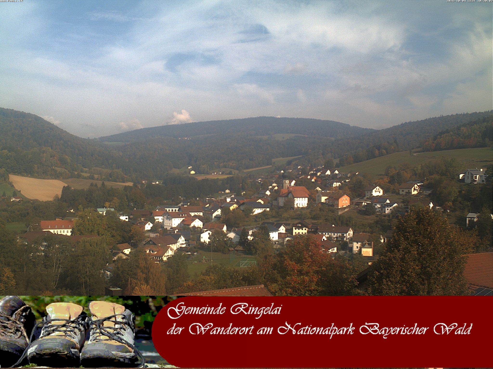 Archiv Foto Webcam Ringelai
