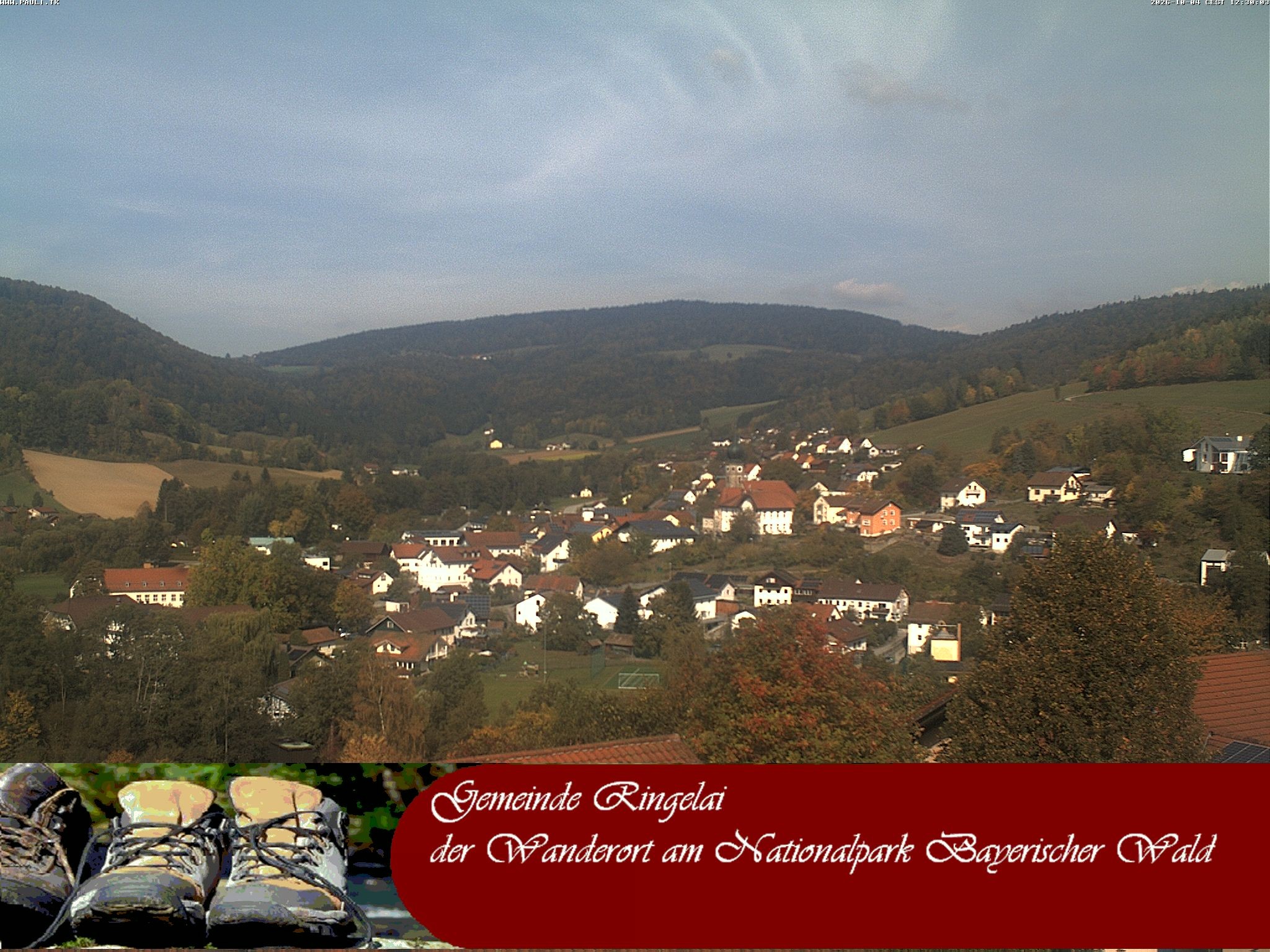 Archiv Foto Webcam Ringelai